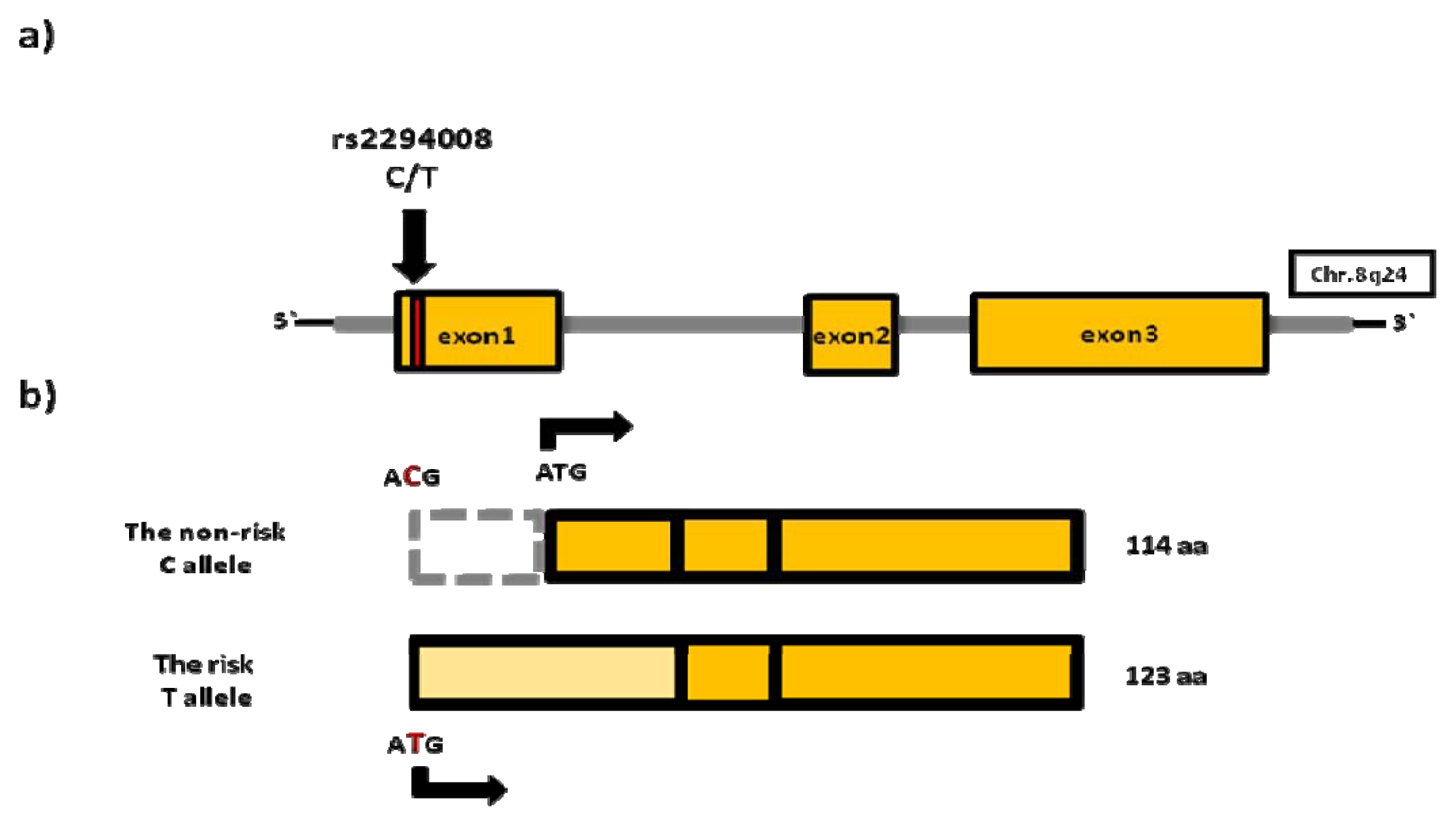 Ijms 14 12346f1