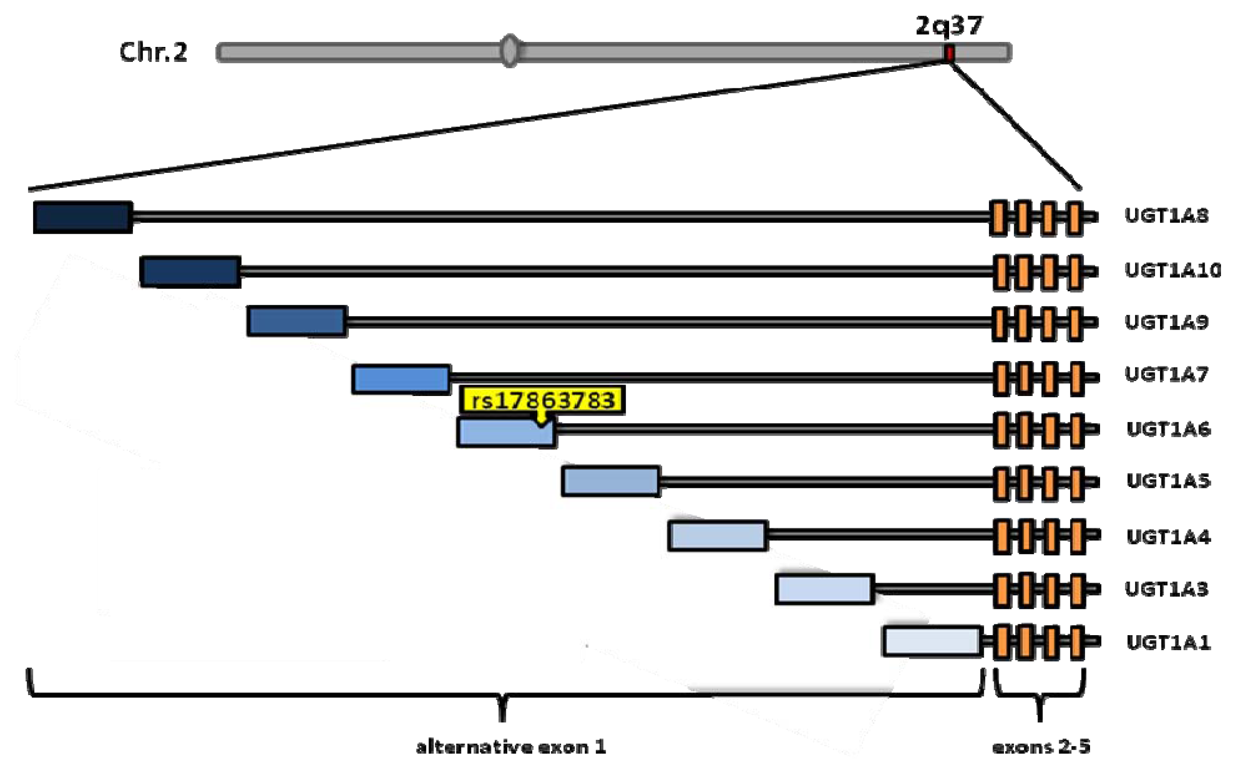 Ijms 14 12346f2