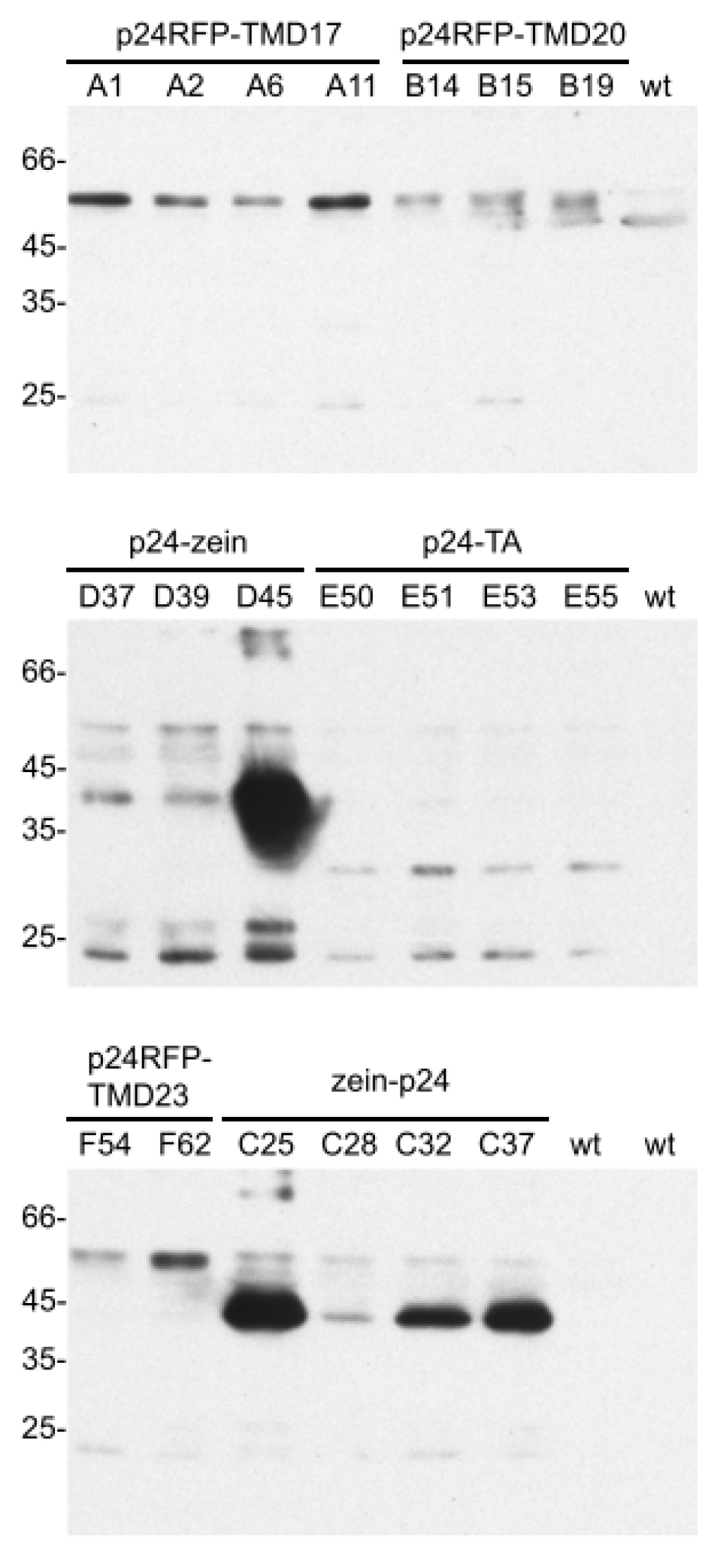 Ijms 14 13241f2