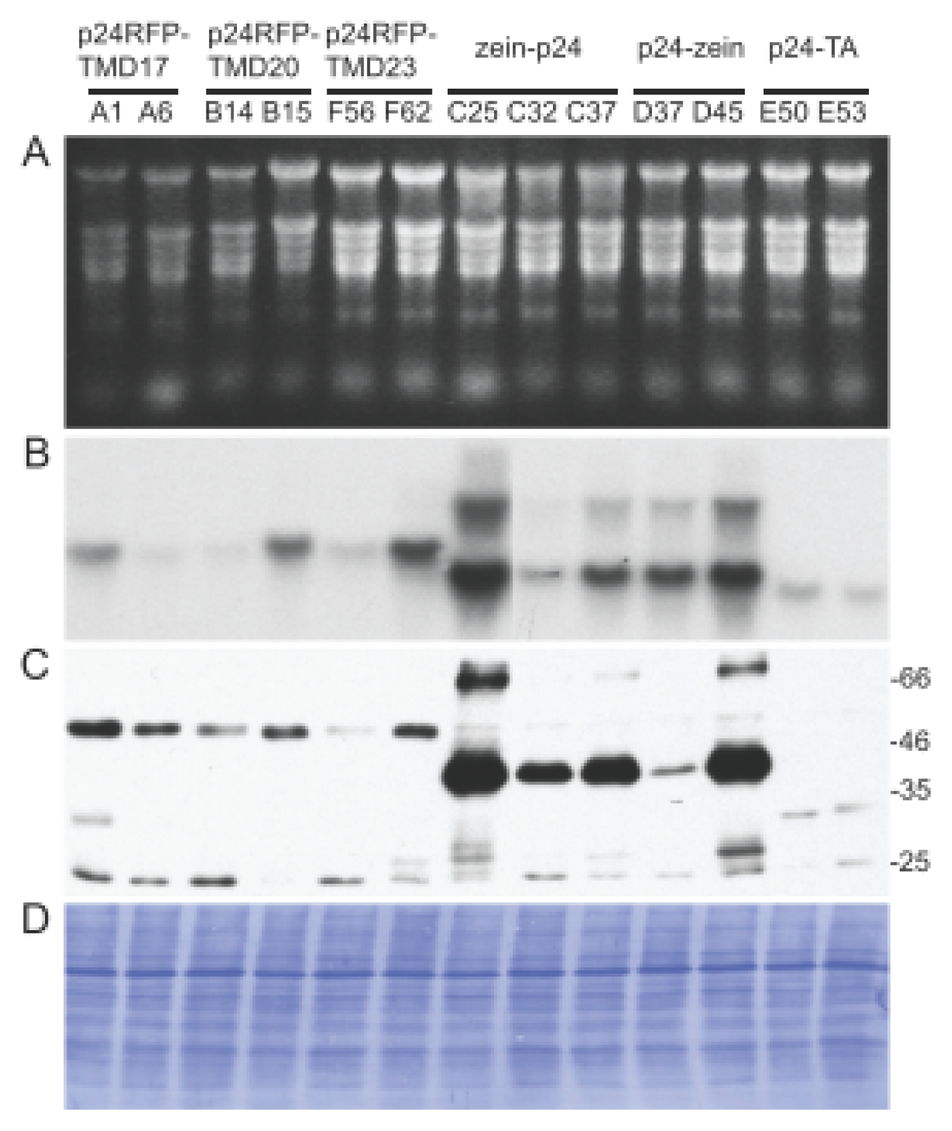 Ijms 14 13241f3