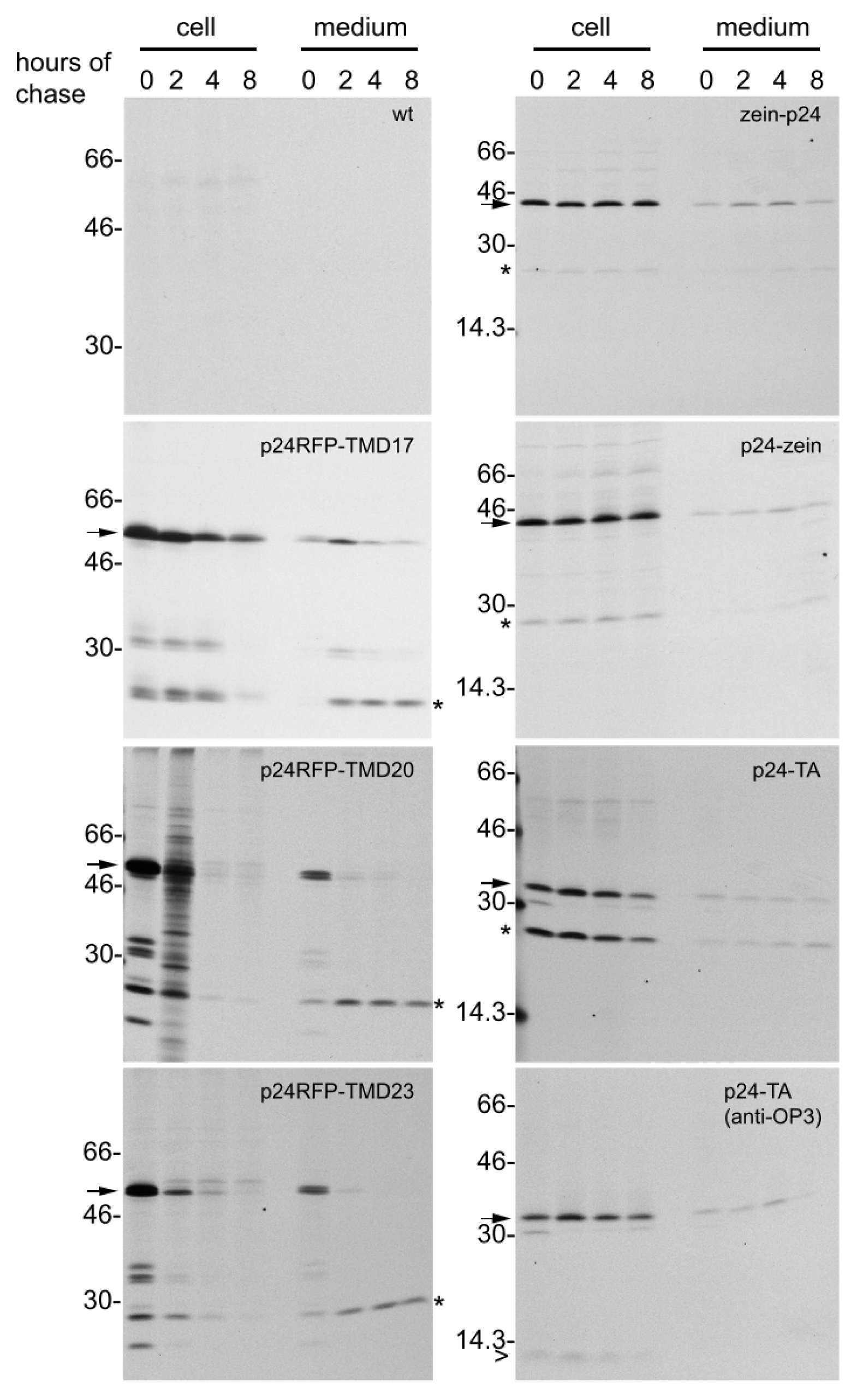 Ijms 14 13241f6