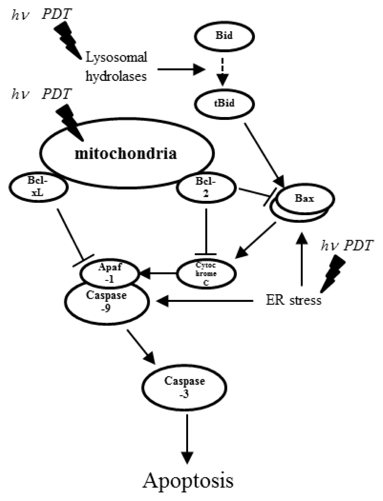 Ijms 14 13542f1