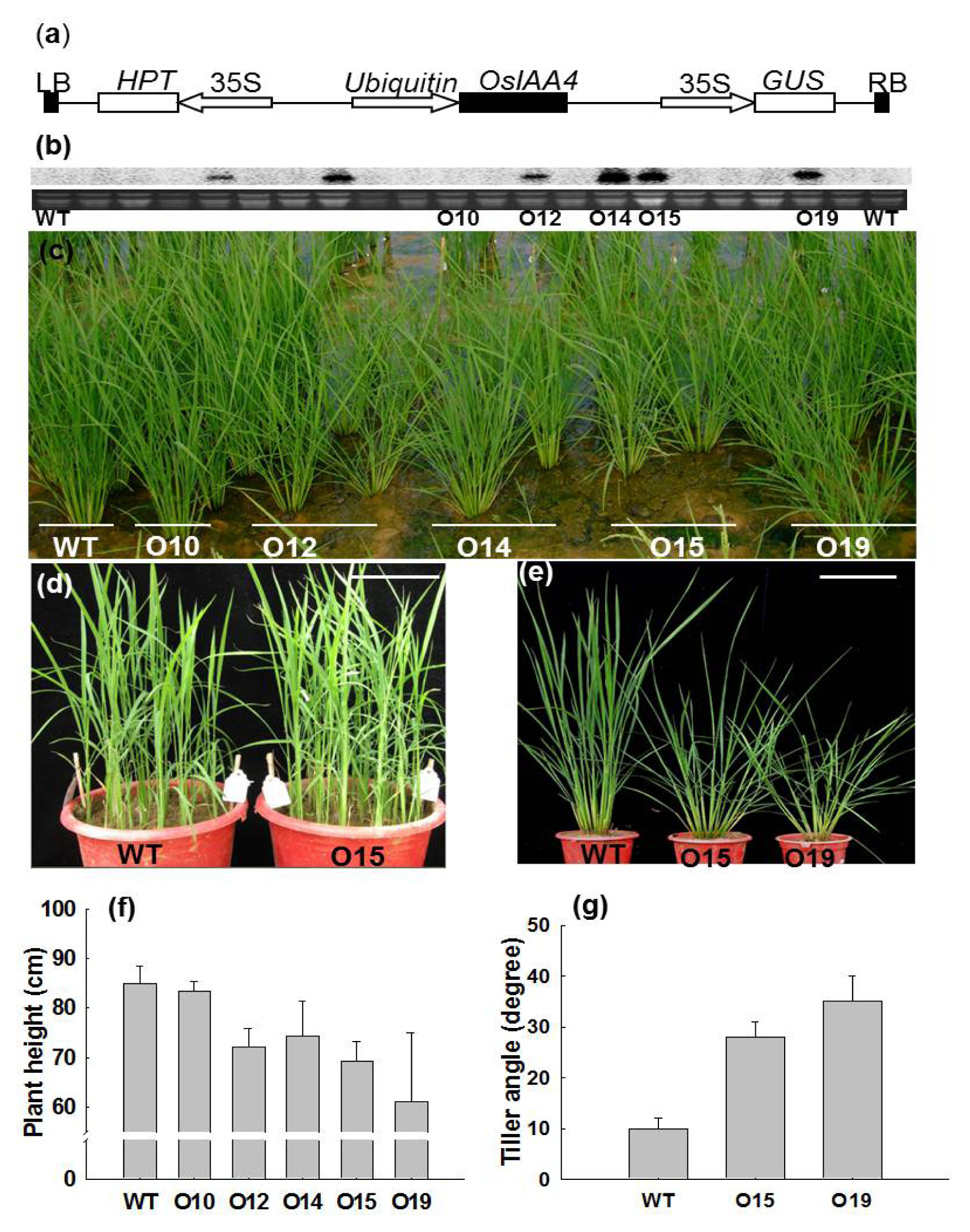 Ijms 14 13645f2