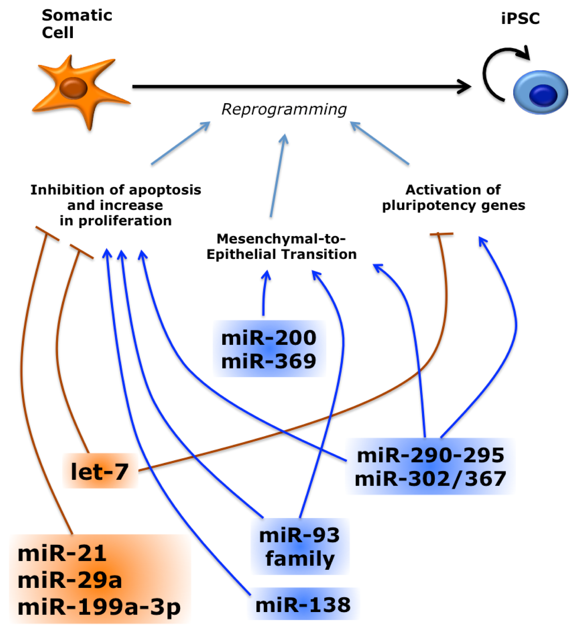 Ijms 14 14346f6