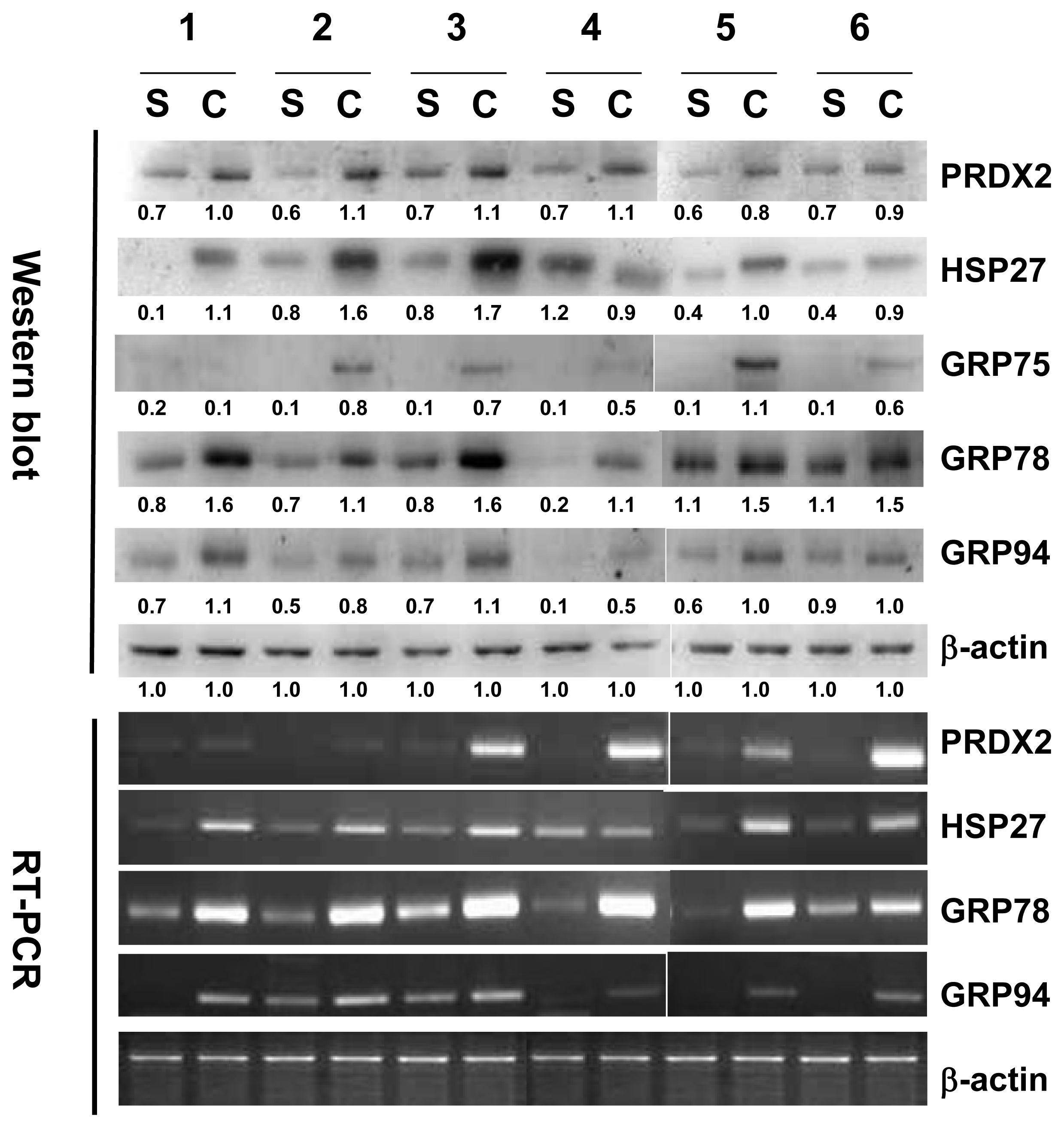 Ijms 14 14439f4
