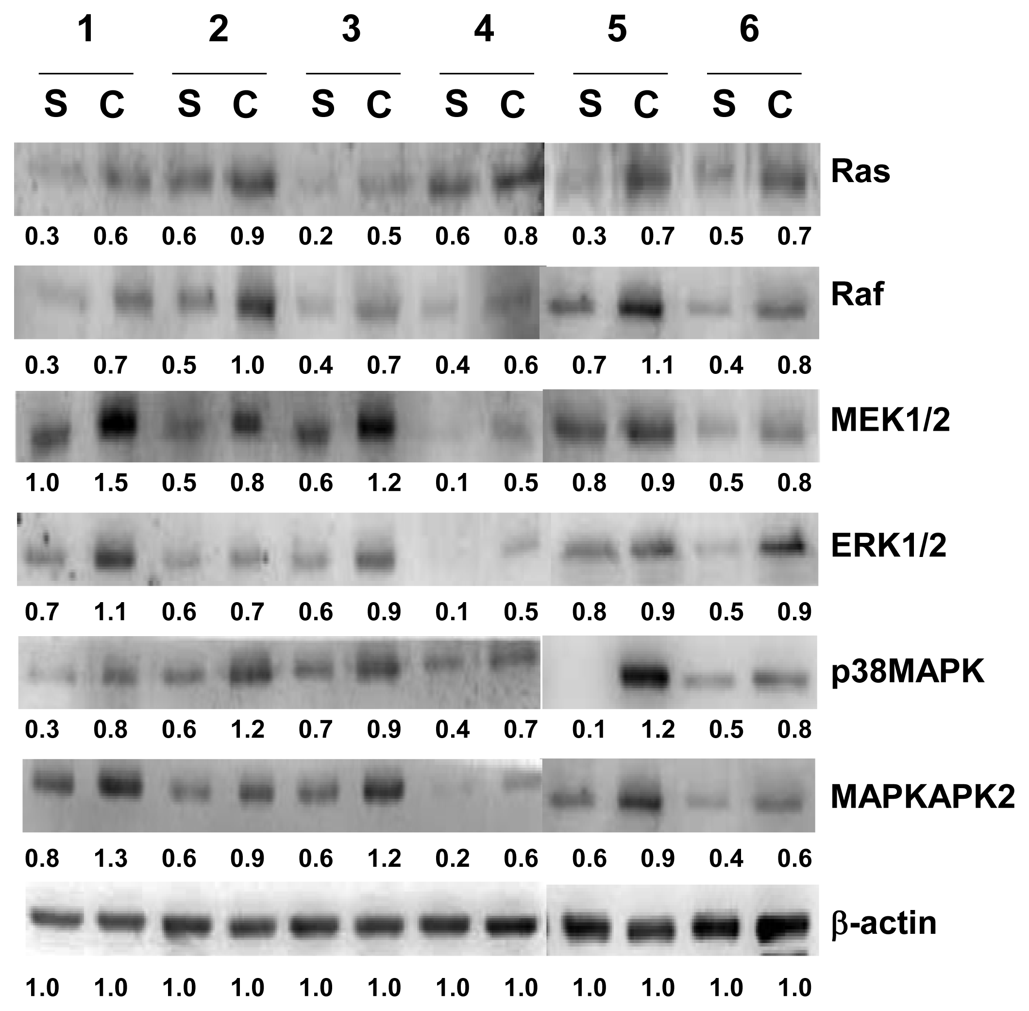 Ijms 14 14439f5