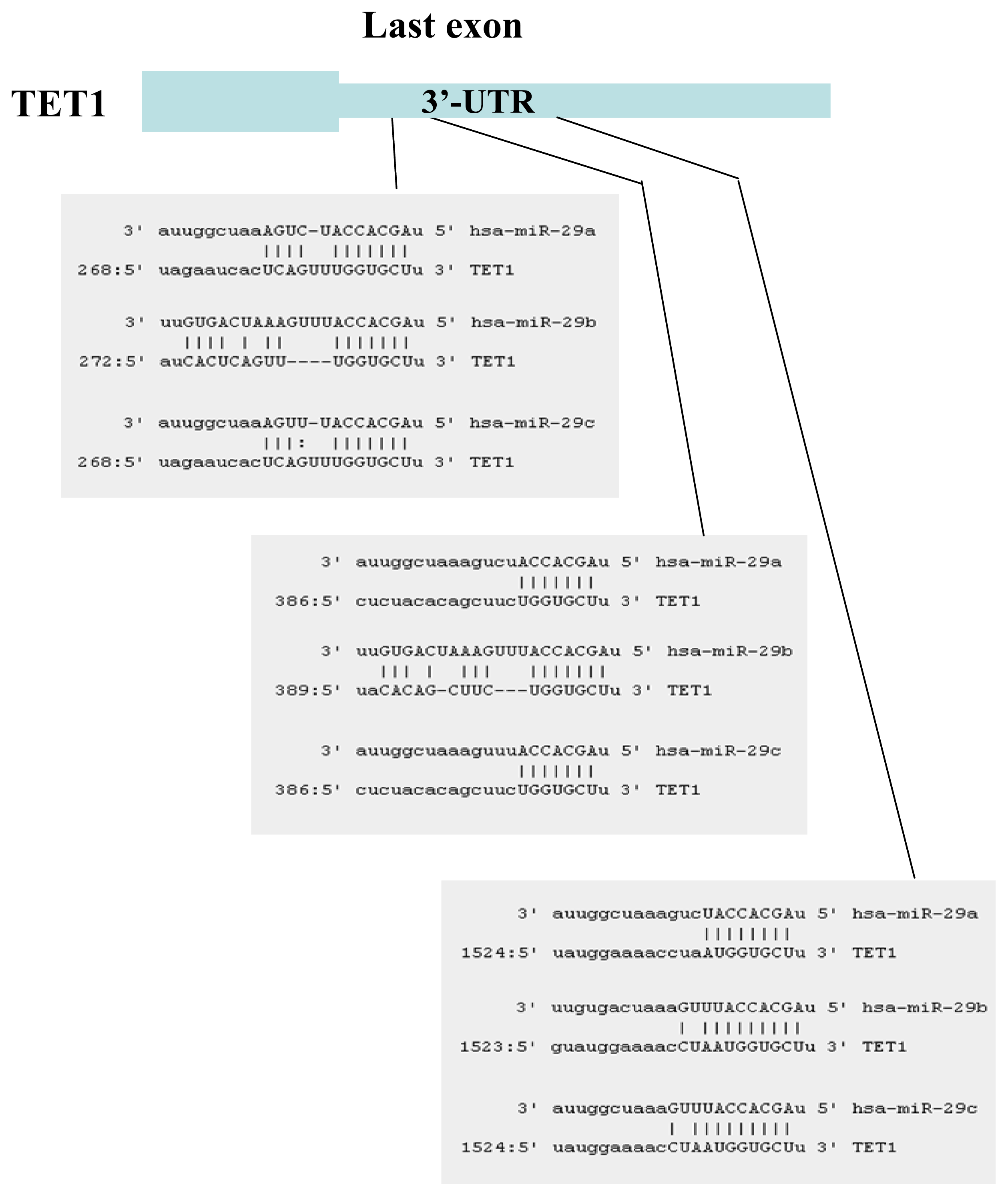 Ijms 14 14647f1