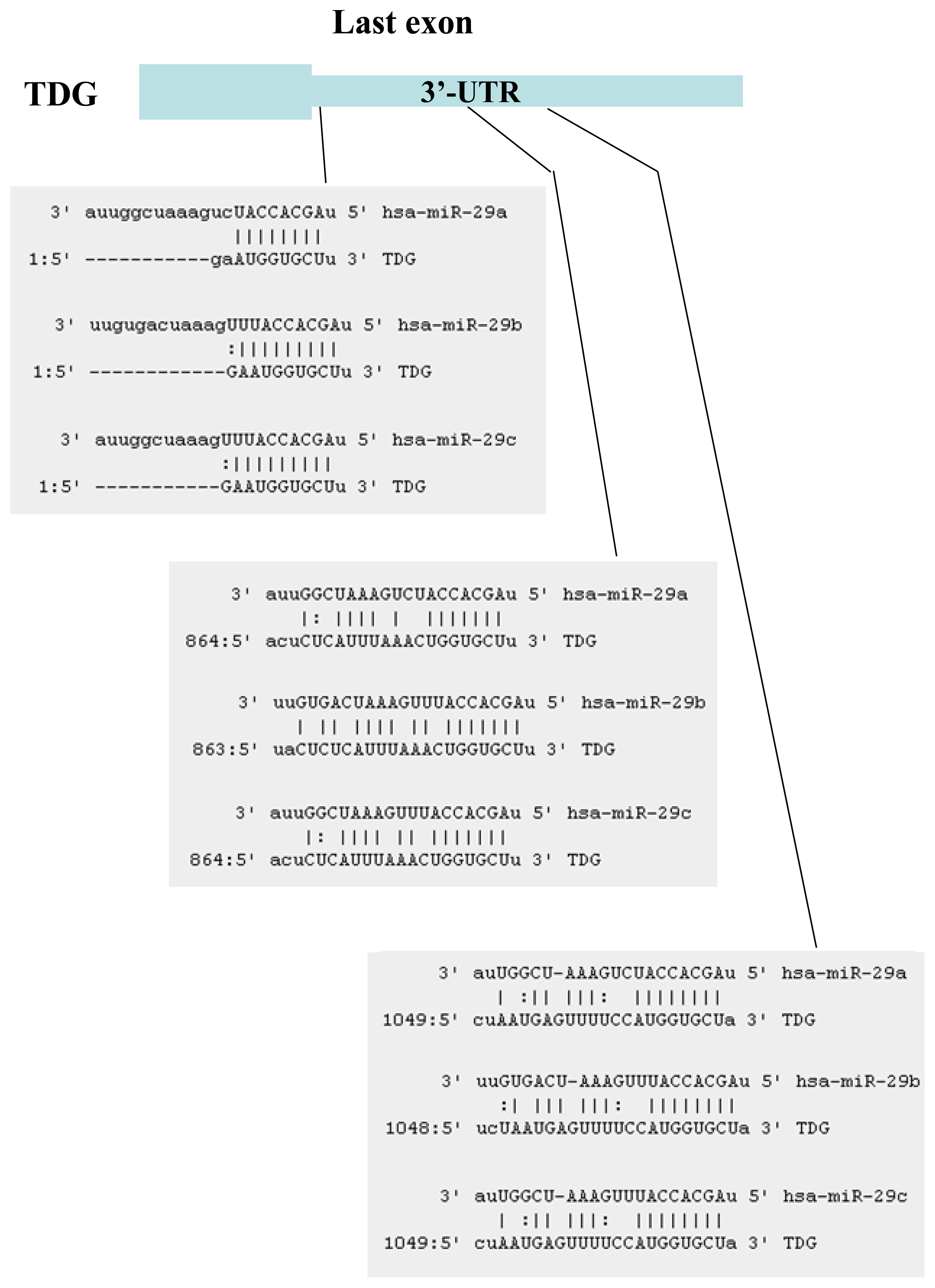 Ijms 14 14647f2