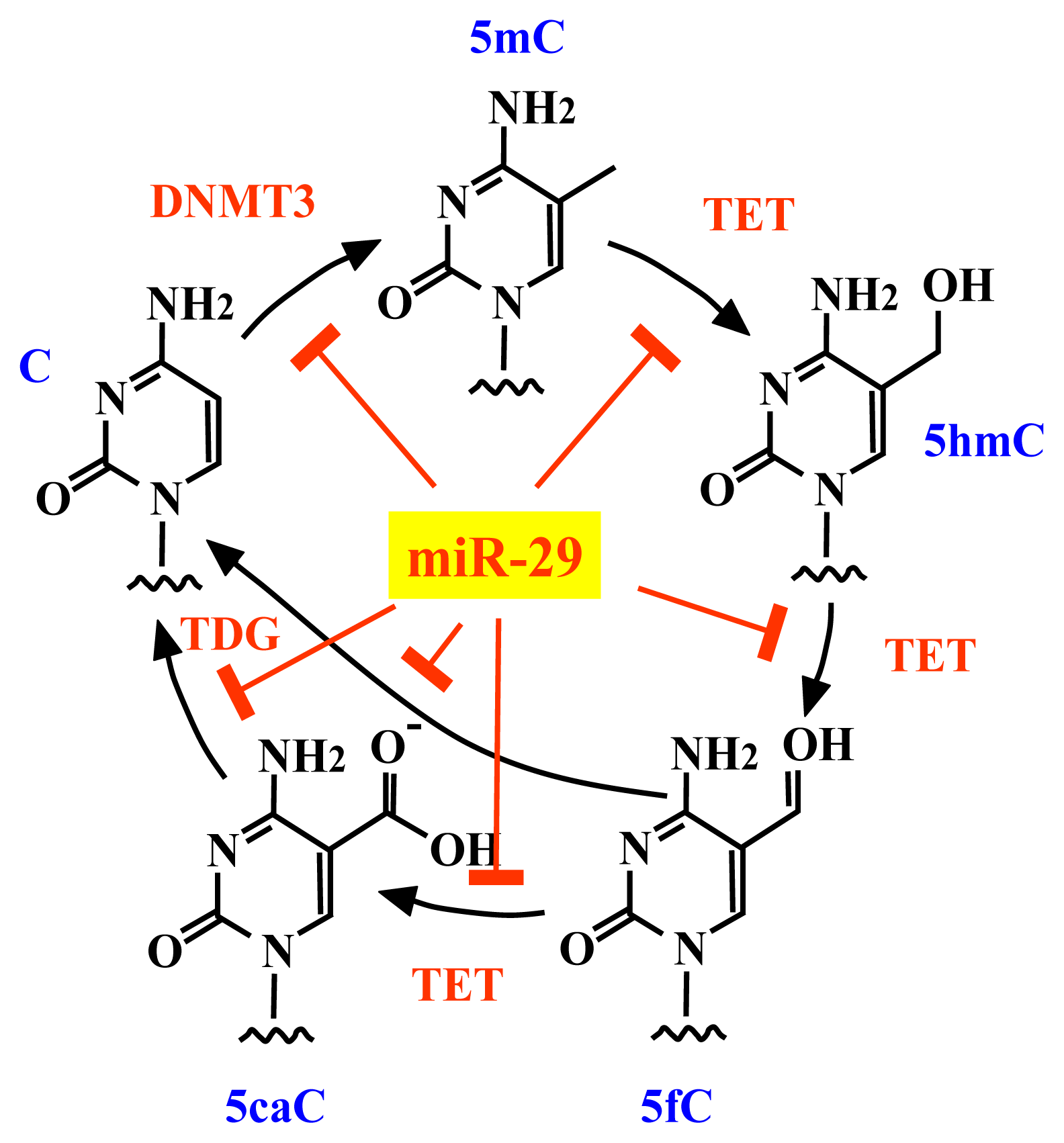 Ijms 14 14647f6