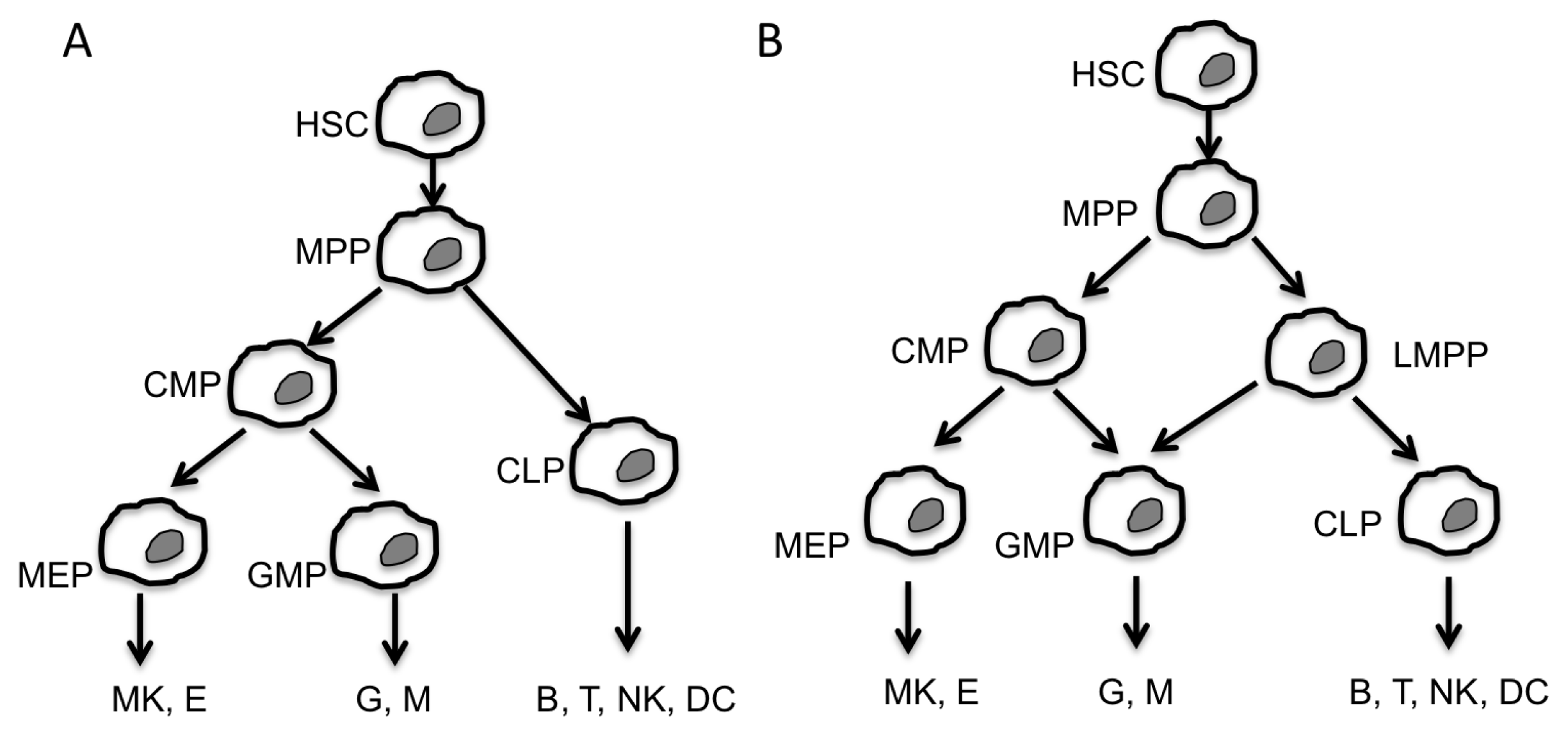Ijms 14 14744f1