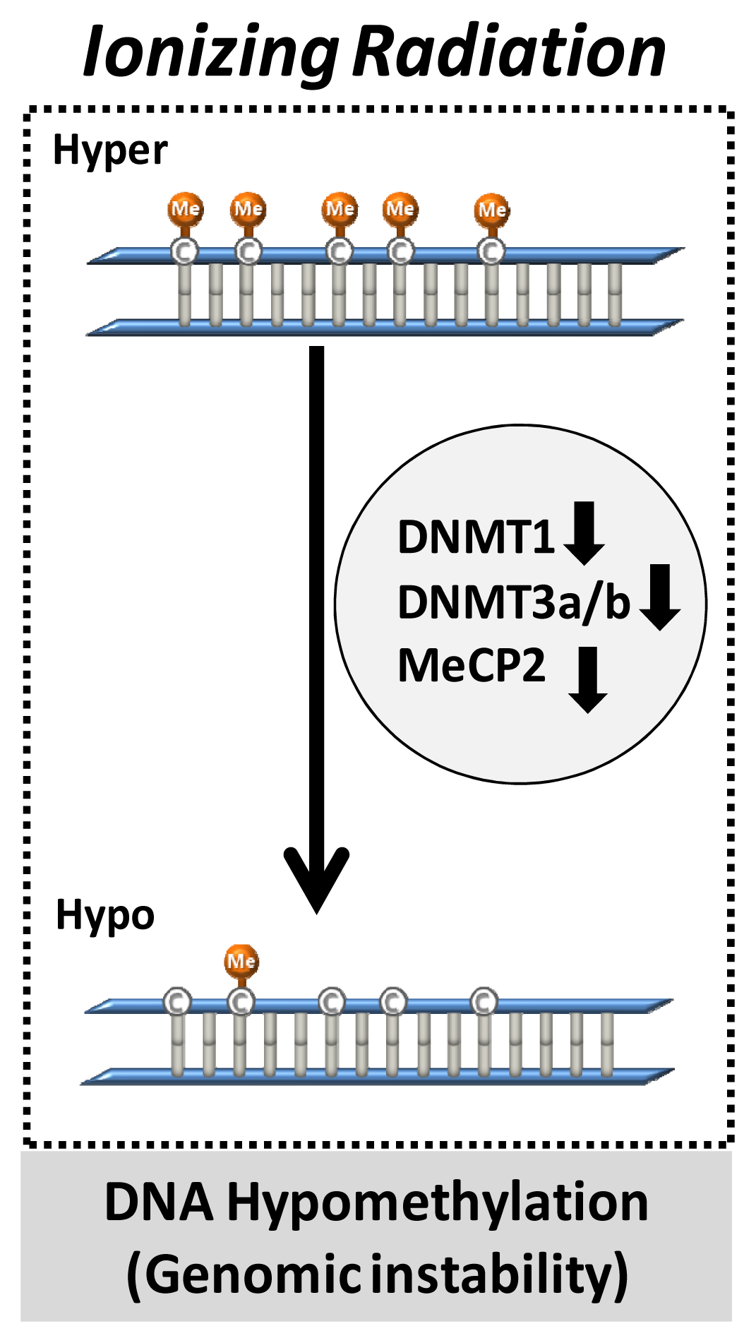 Ijms 14 15059f1