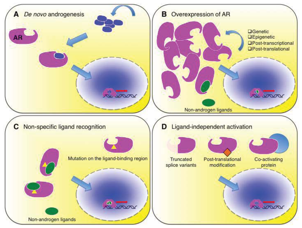 Ijms 14 15615f1 1024