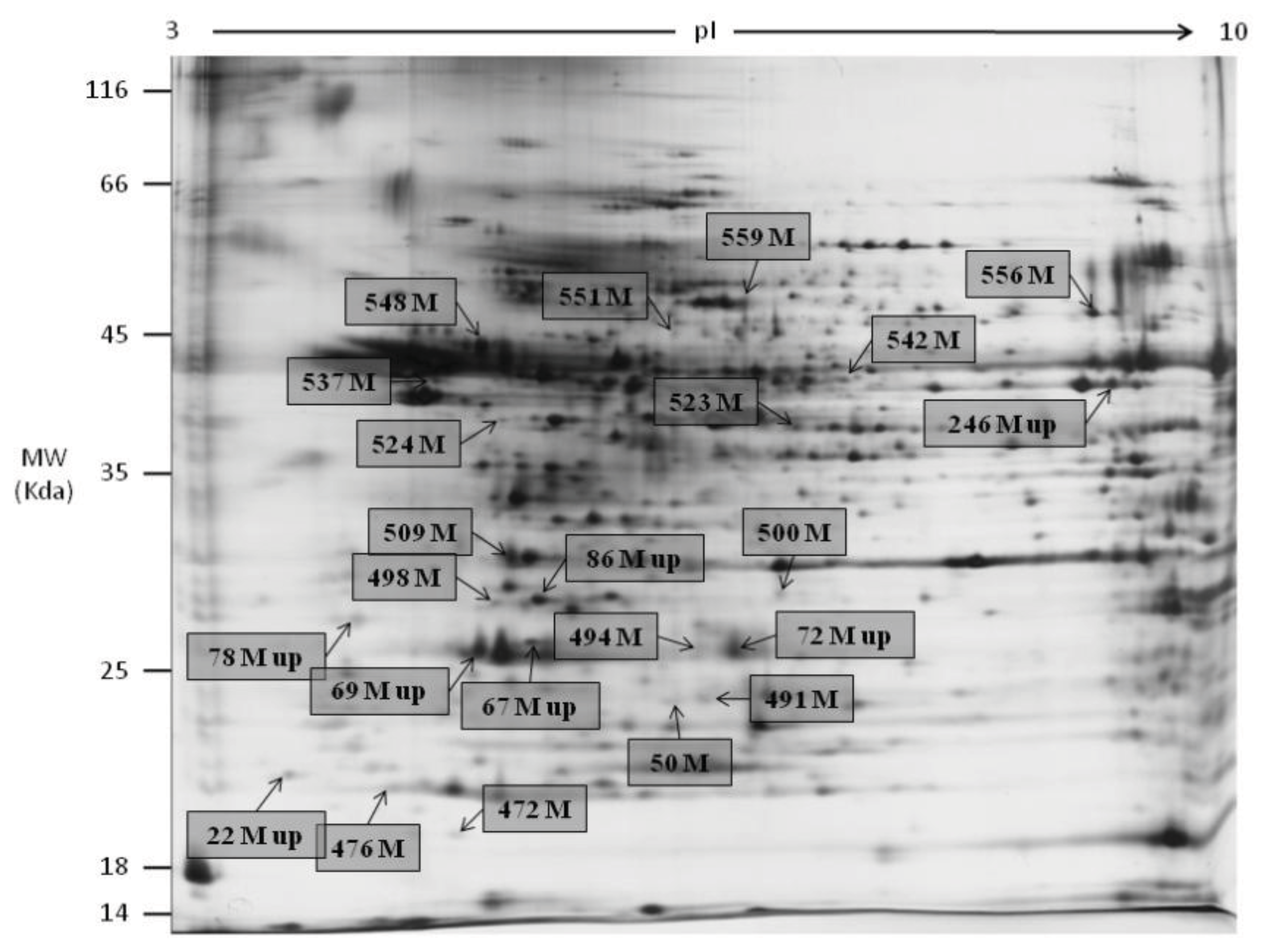 Ijms 14 15860f1