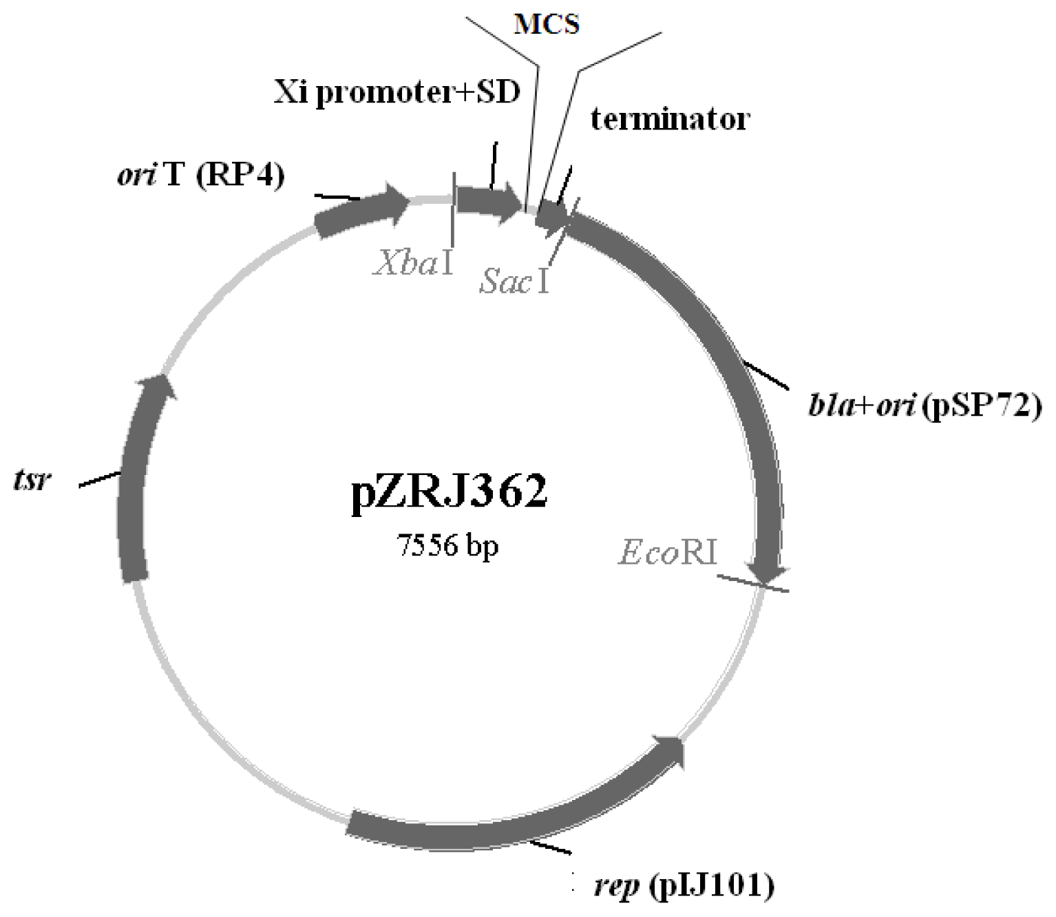Ijms 14 18629f1