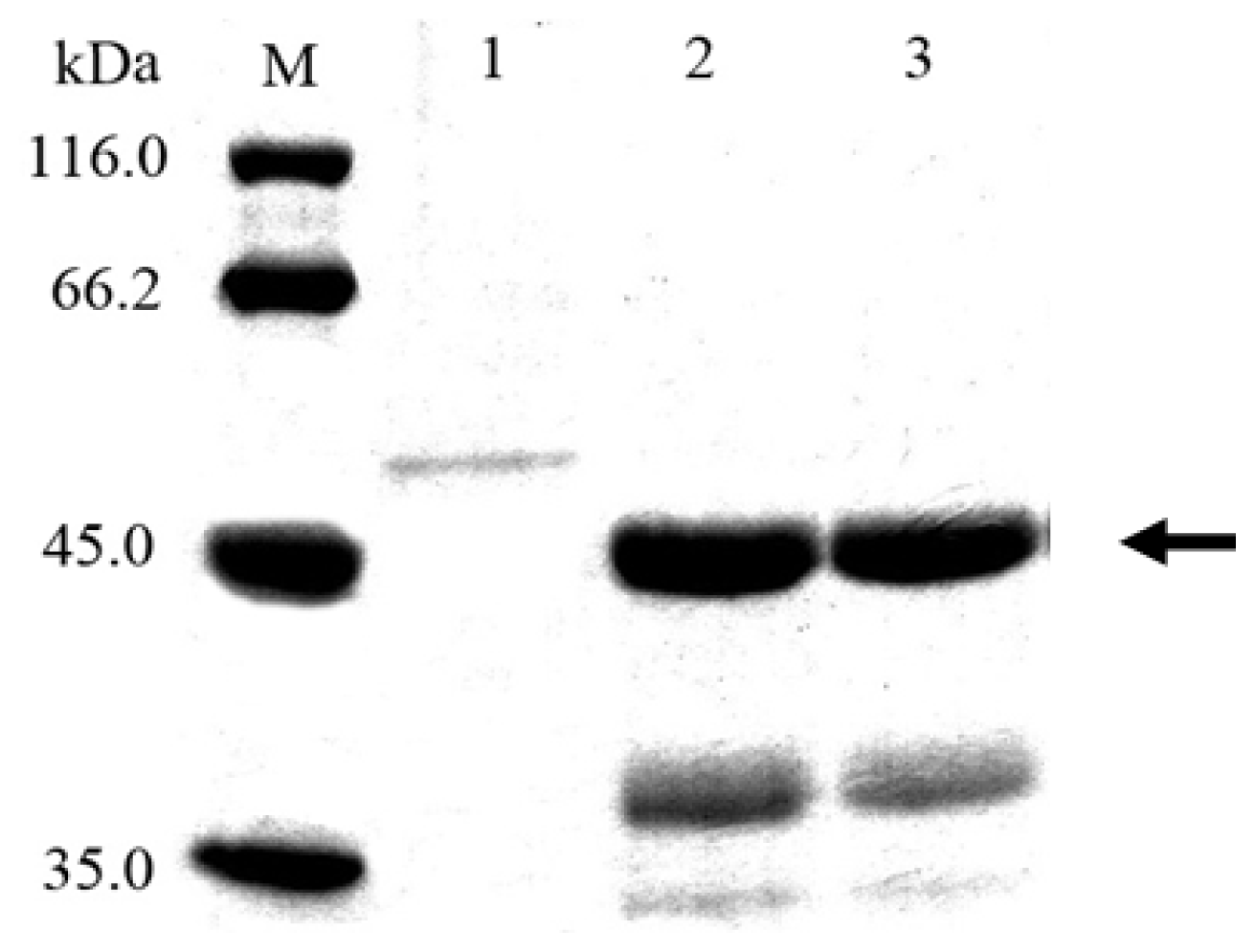 Ijms 14 18629f2