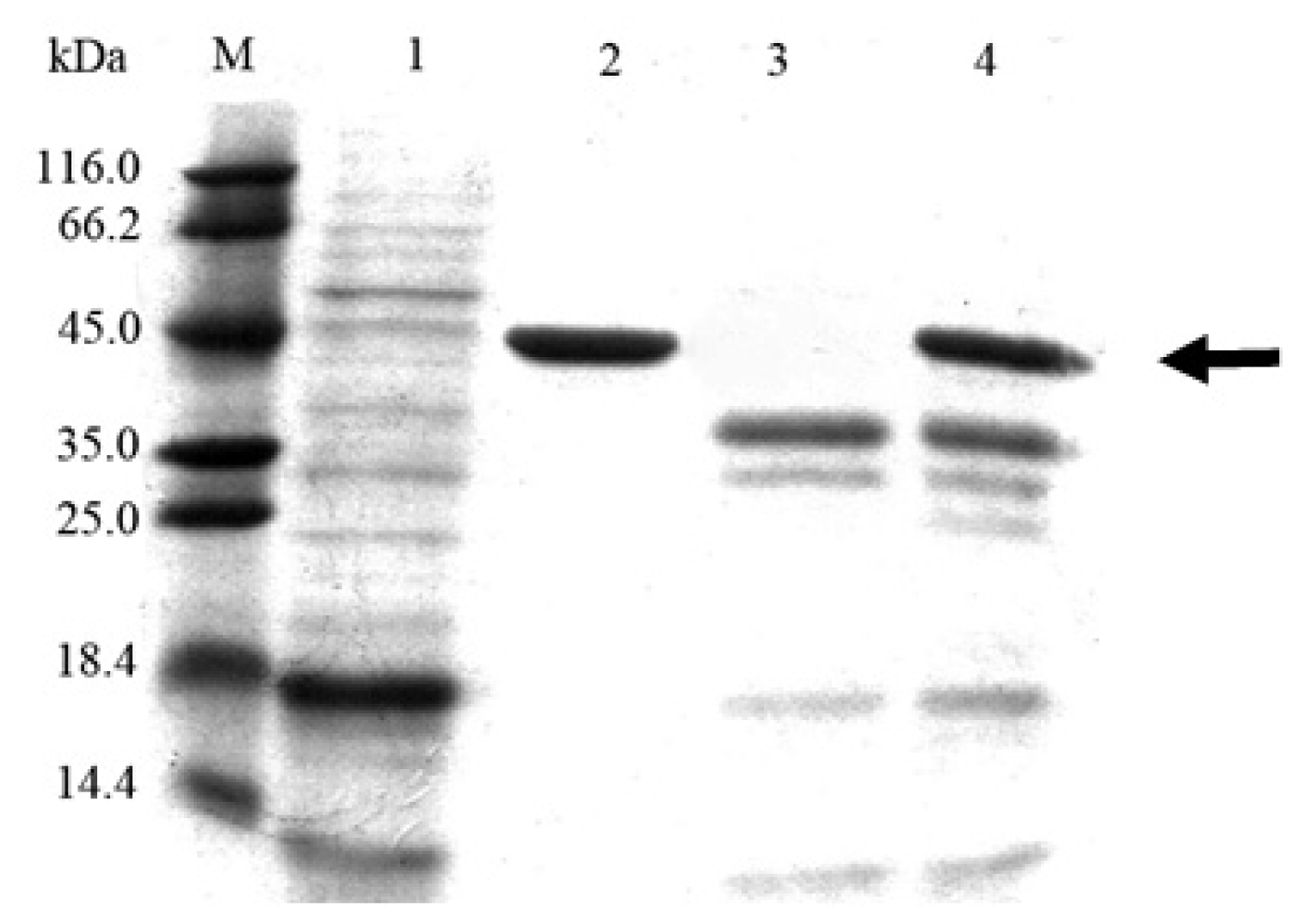 Ijms 14 18629f4