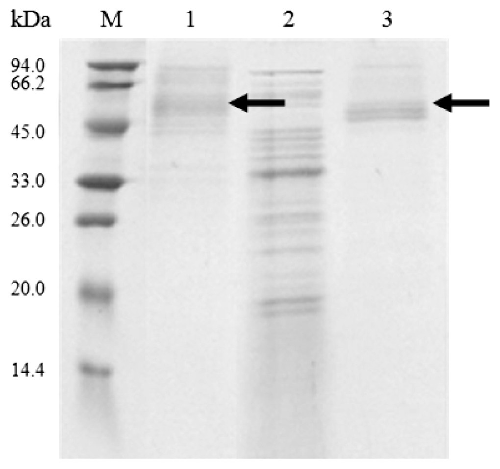 Ijms 14 18629f5
