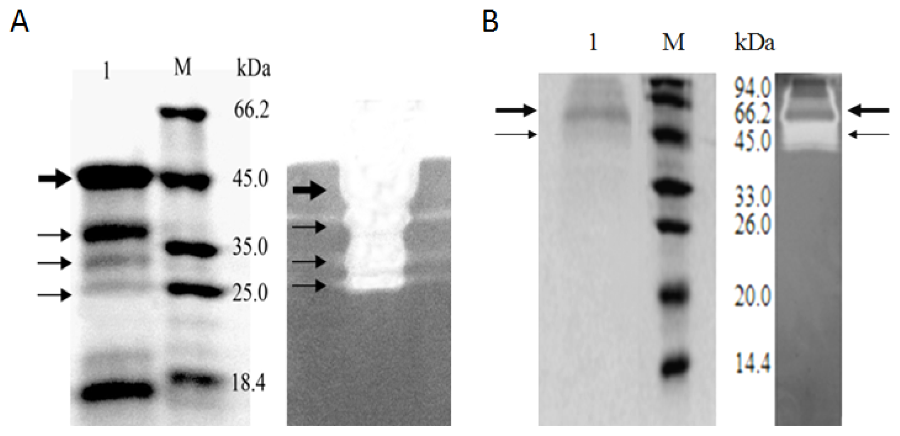 Ijms 14 18629f6