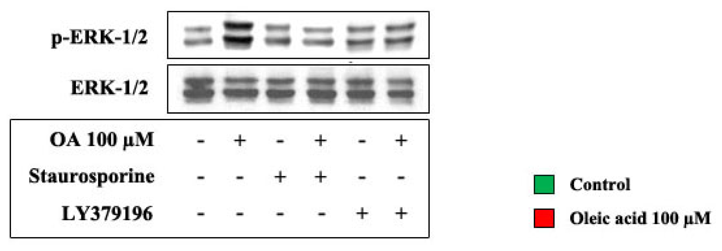 Ijms 14 18861f8a