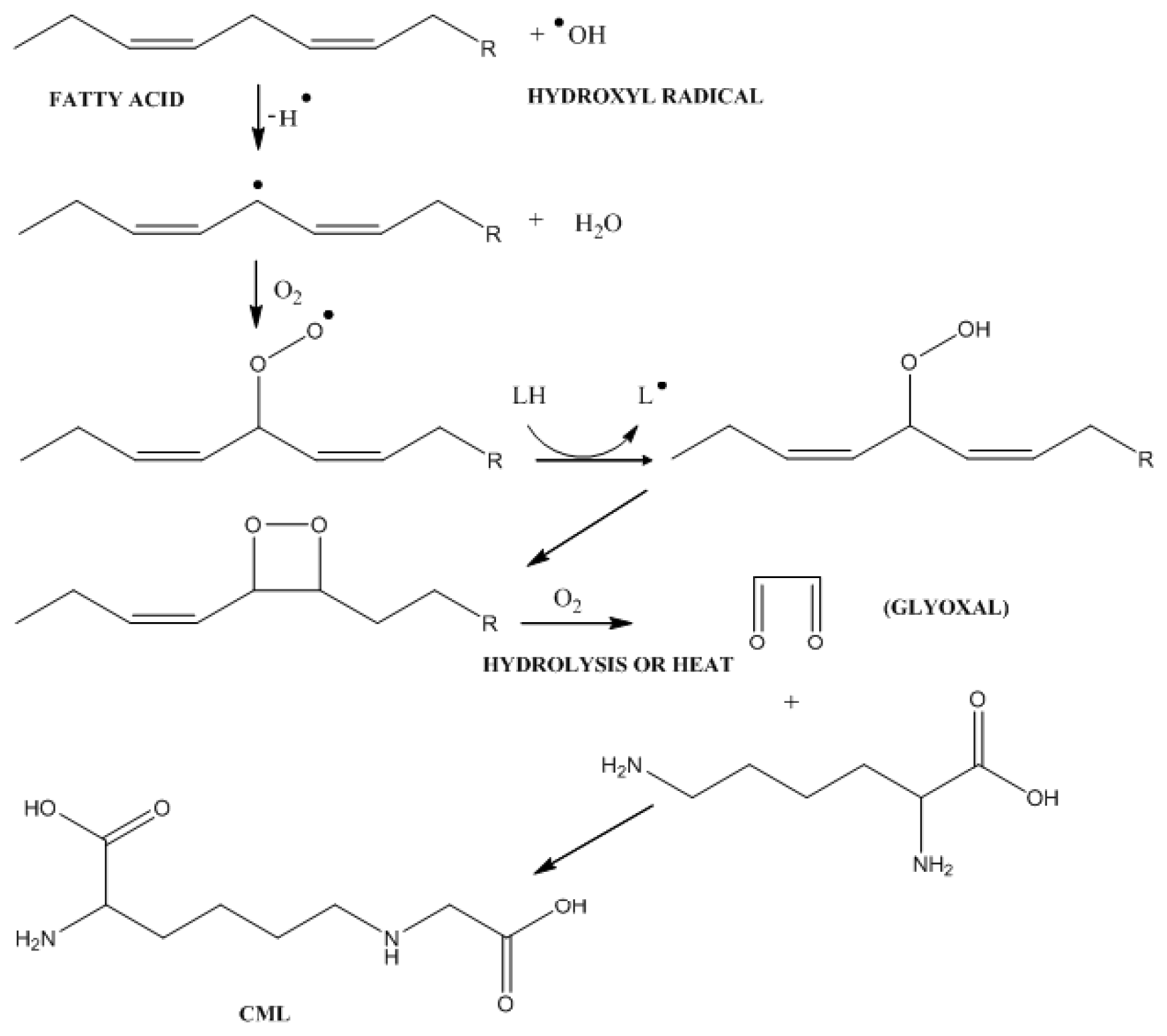Ijms 14 19846f4