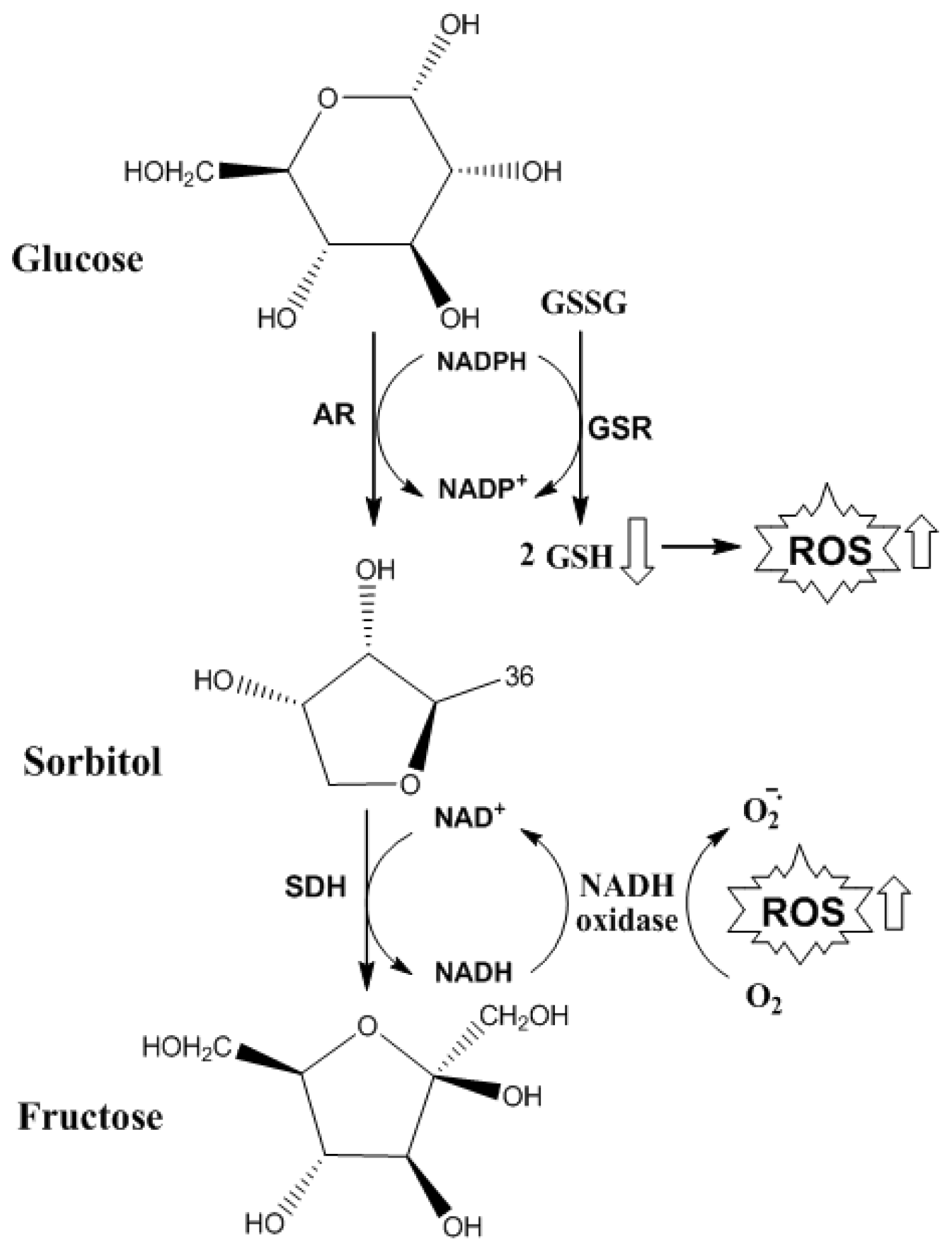 Ijms 14 19846f6