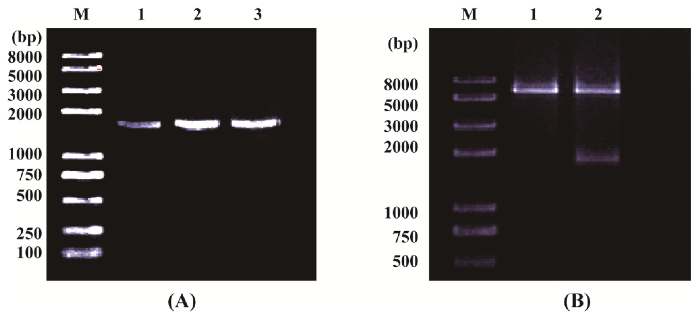 Ijms 14 20204f1