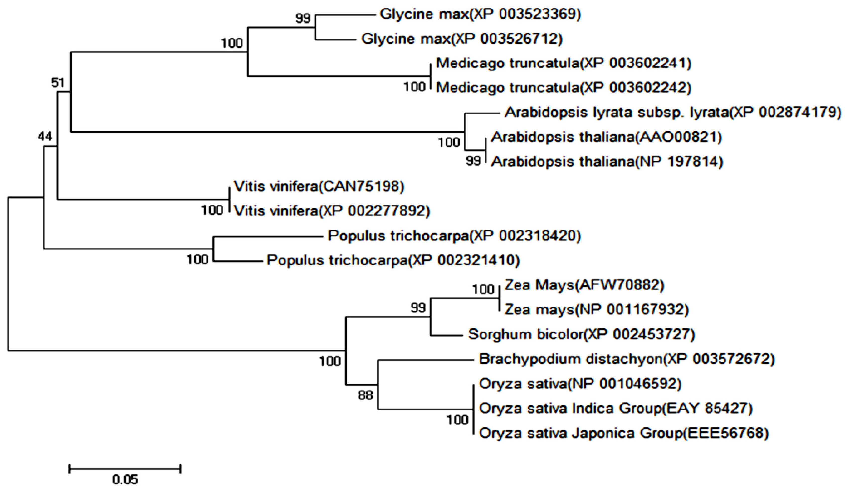 Ijms 14 20204f2
