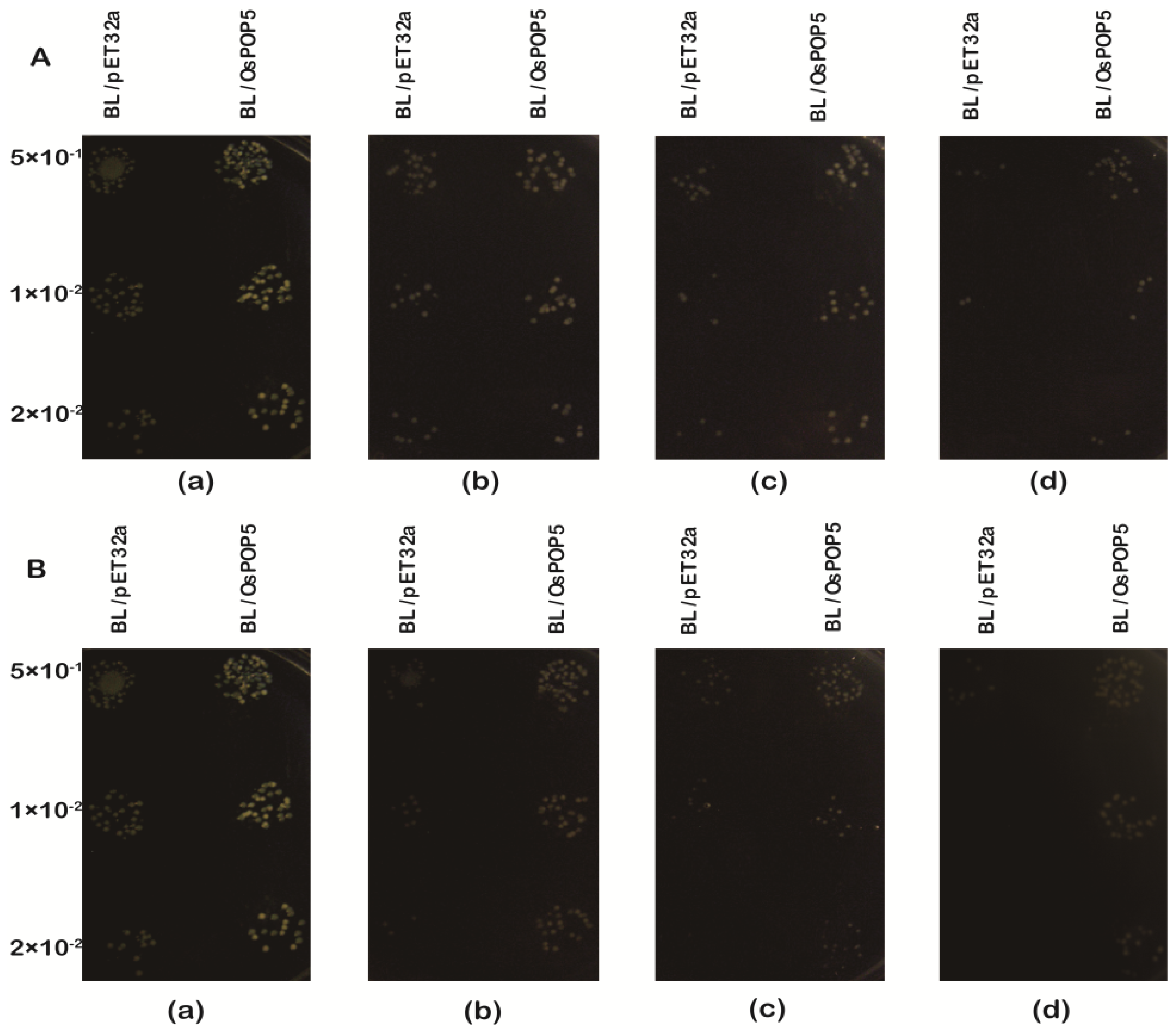 Ijms 14 20204f6a