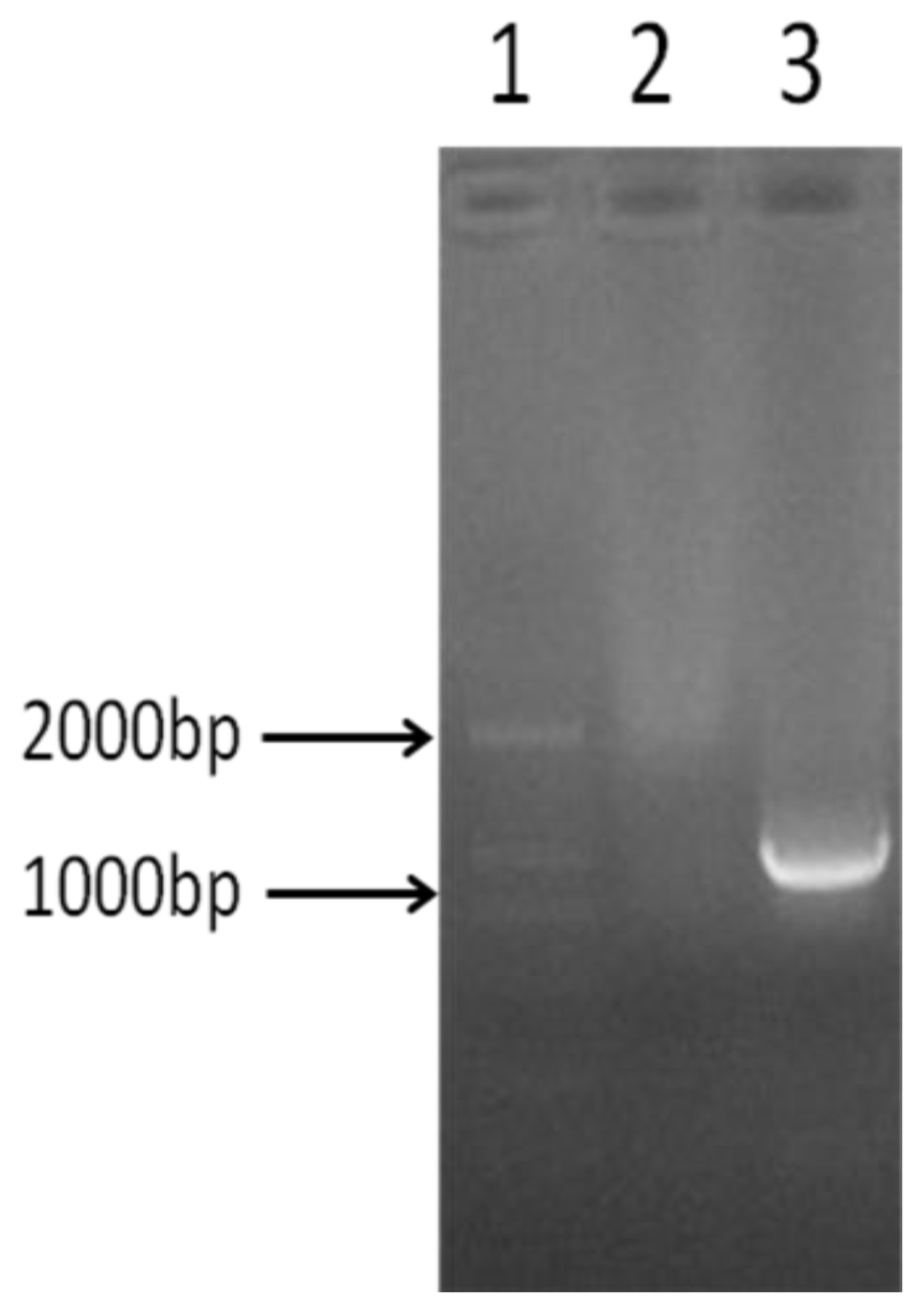 Ijms 14 21435f1