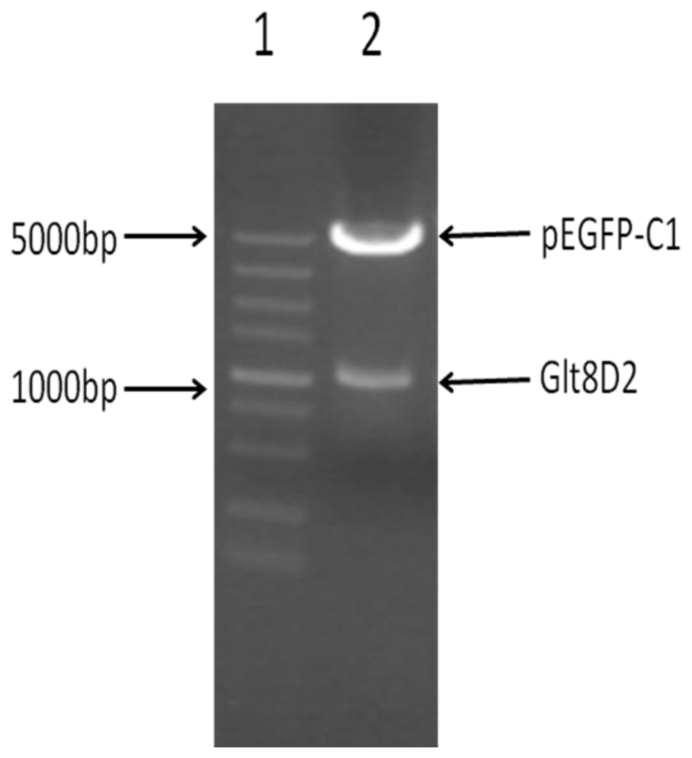 Ijms 14 21435f2