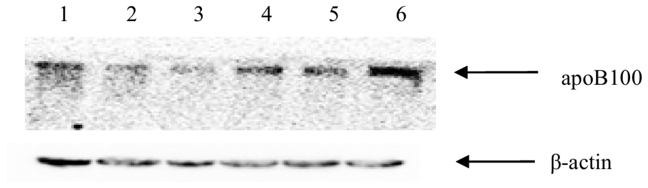 Ijms 14 21435f6
