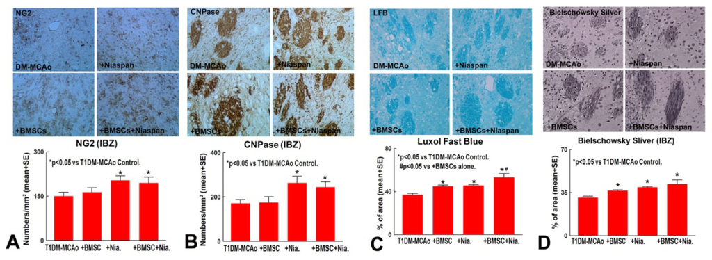 Ijms 14 22221f1a 1024