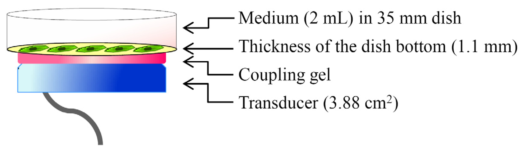 Ijms 14 22721f8