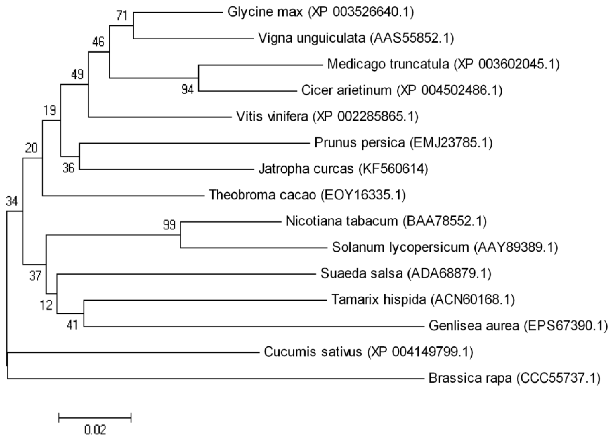 Ijms 15 00171f2