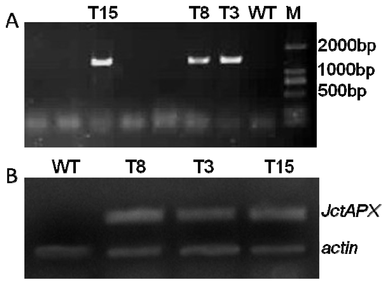 Ijms 15 00171f5