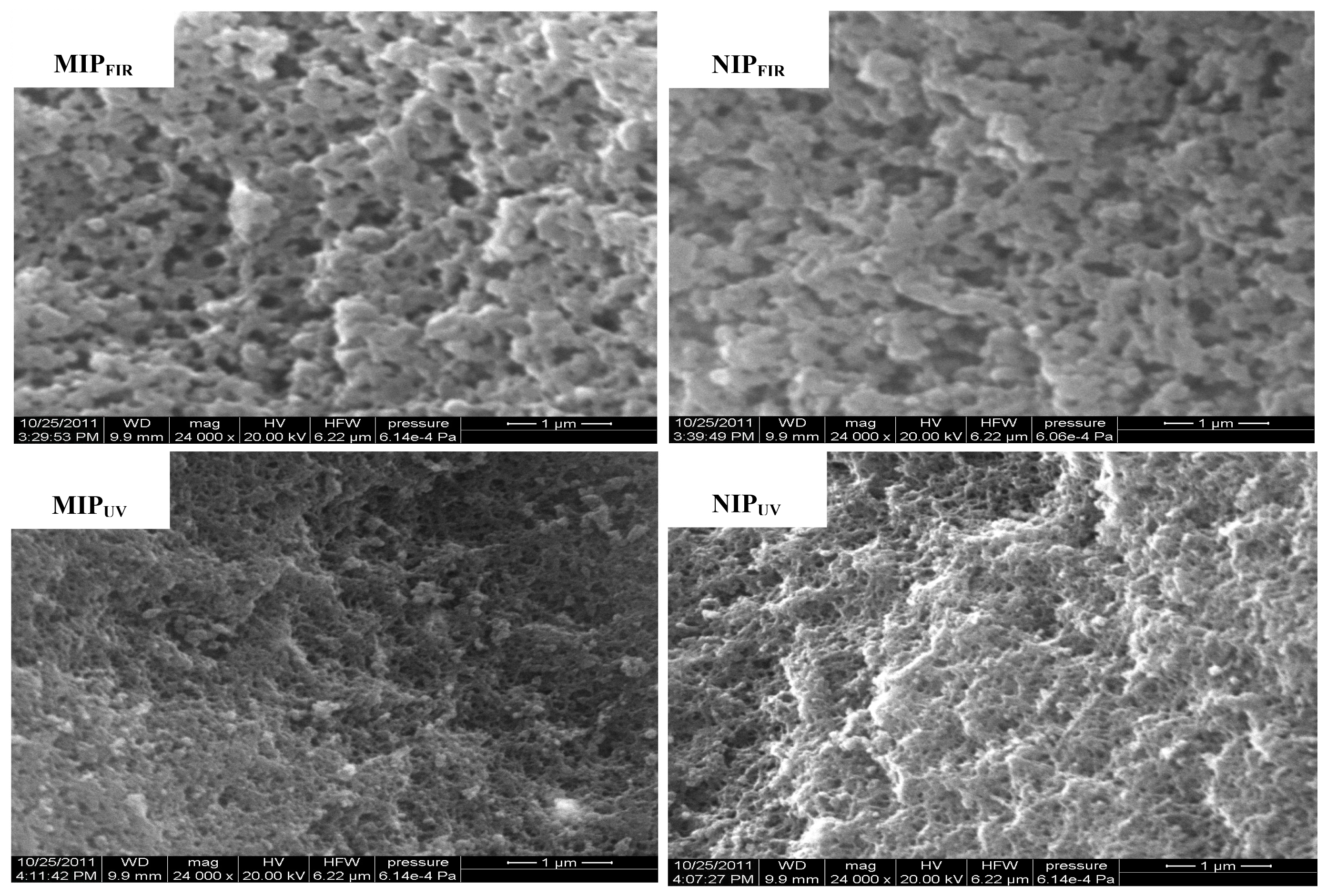 Ijms 15 00574f1