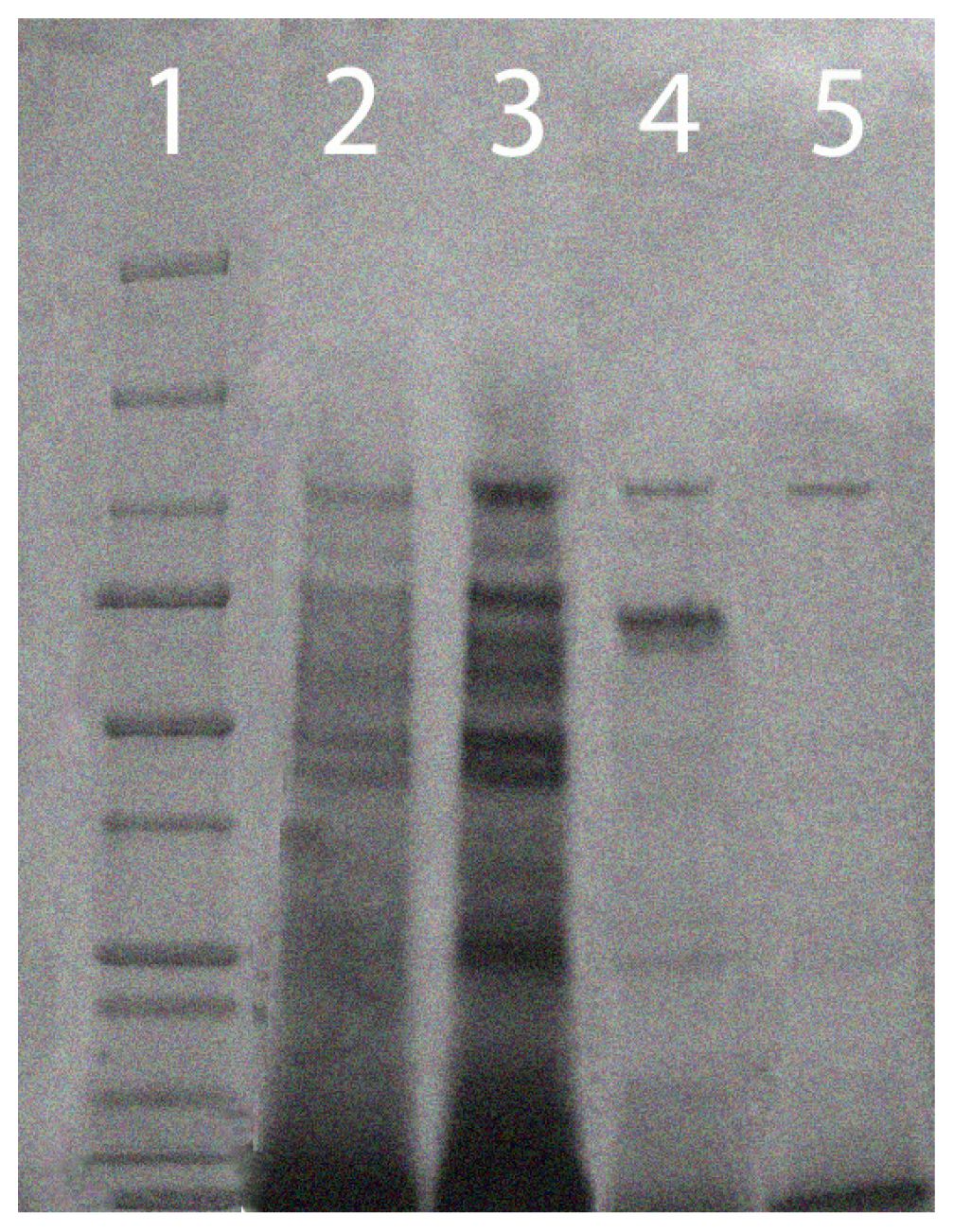 Ijms 15 00944f3