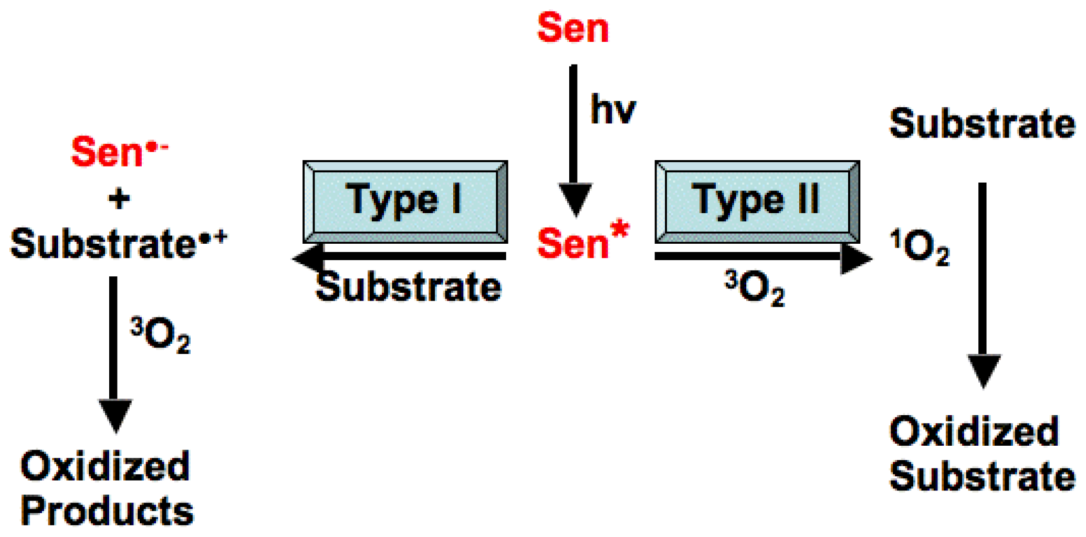 Ijms 15 01441f1