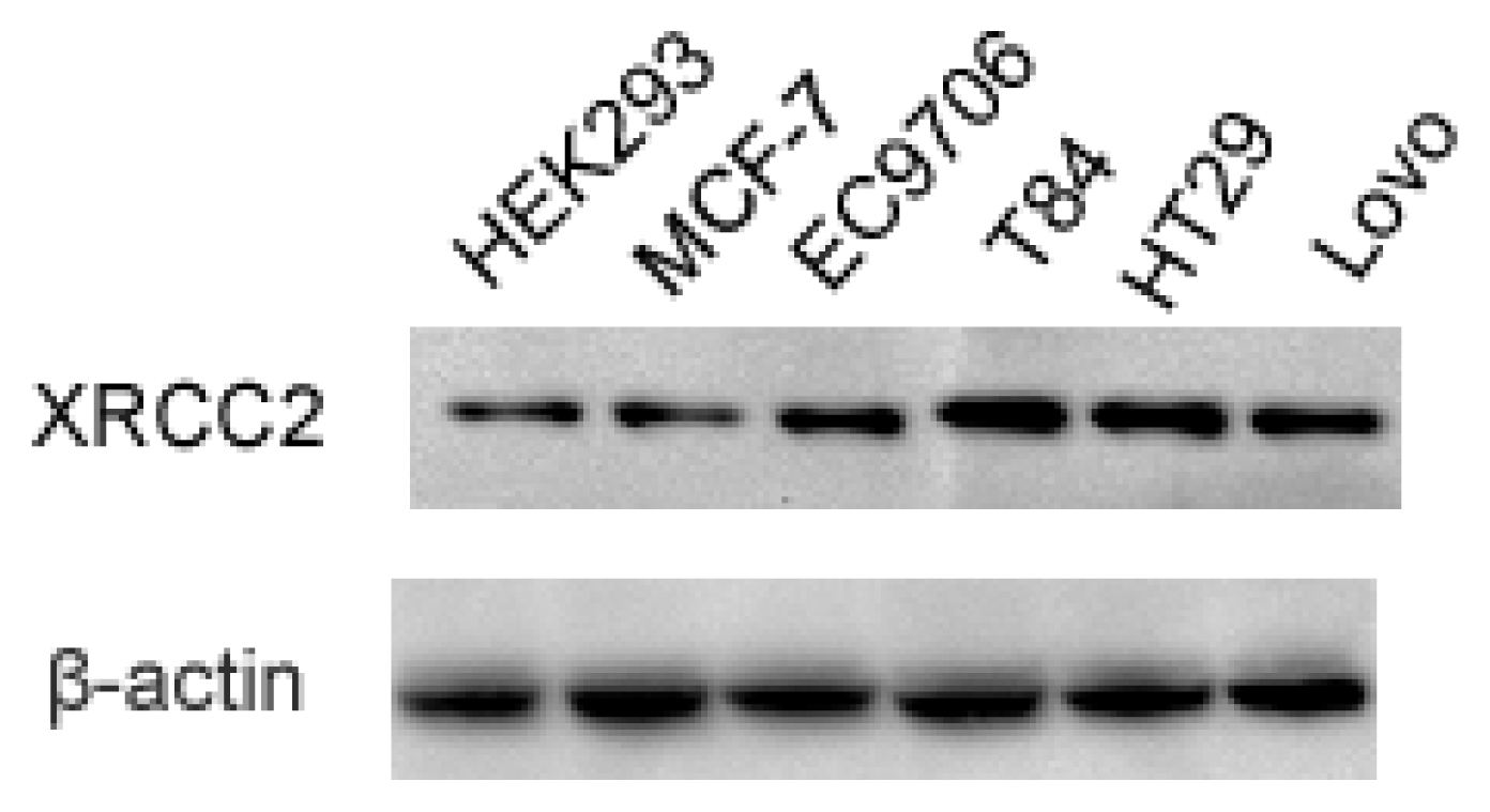 Ijms 15 02157f1
