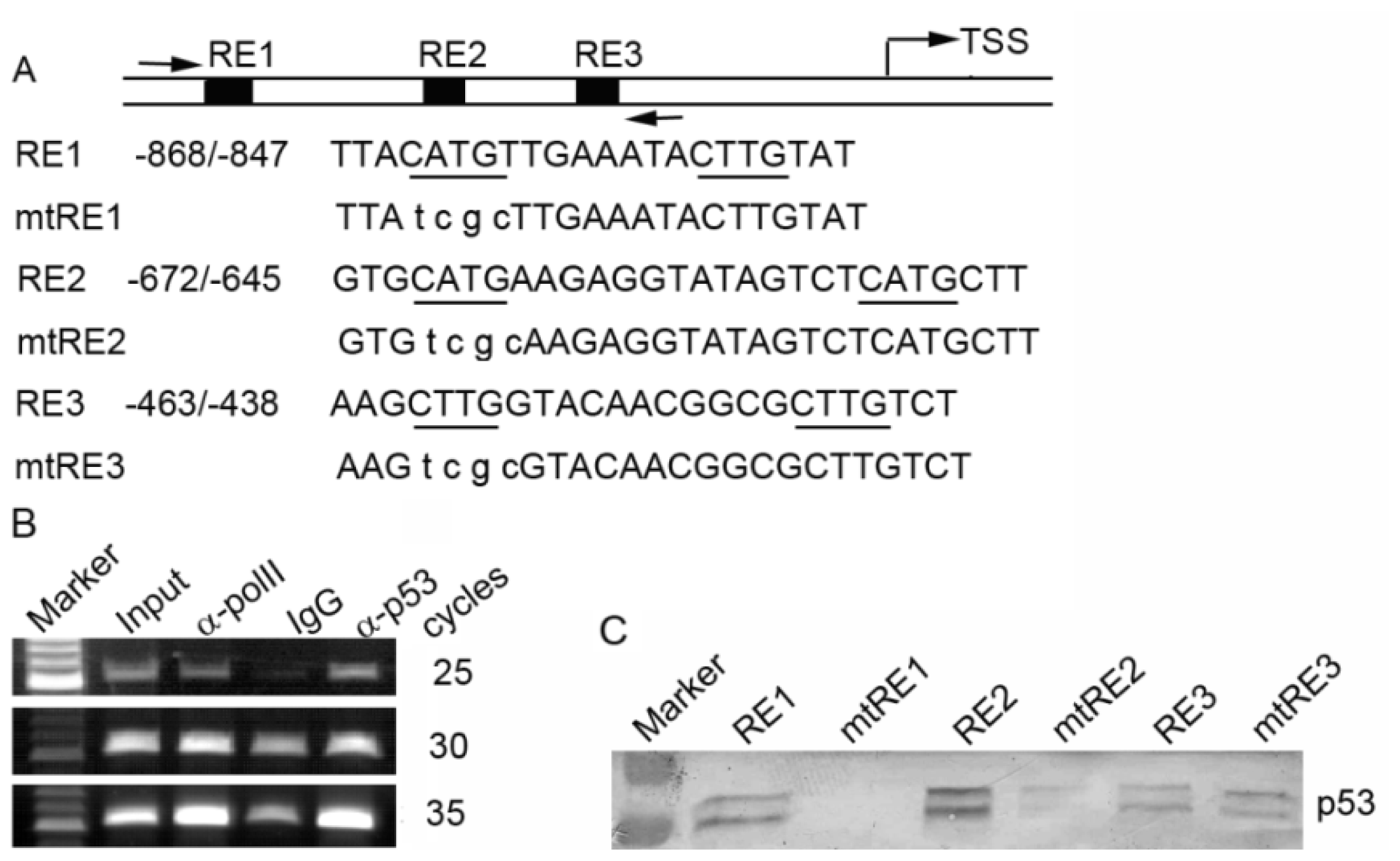 Ijms 15 02573f2