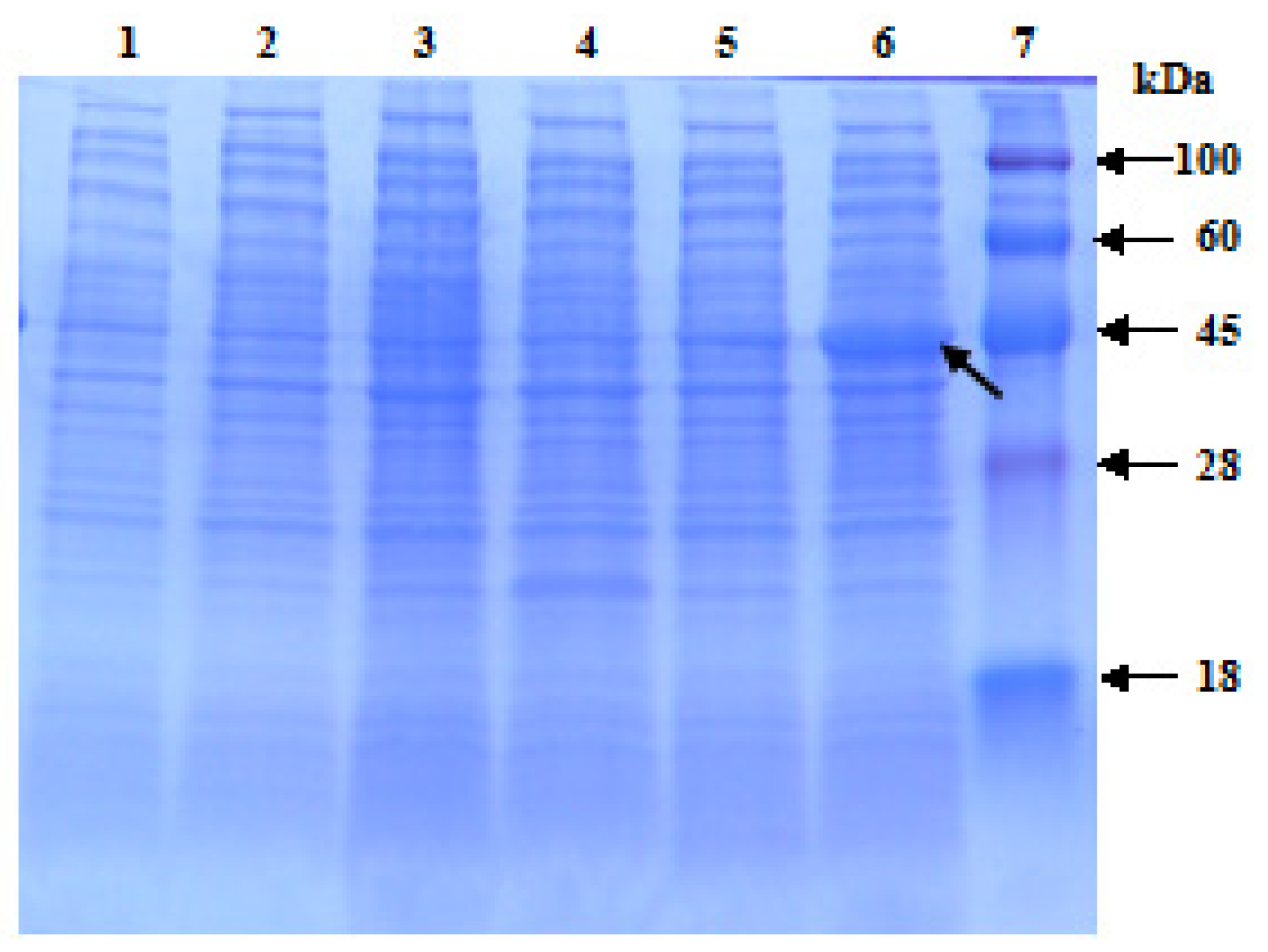 Ijms 15 02738f6