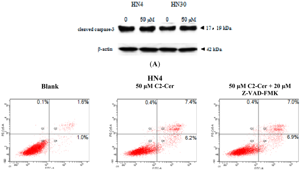 Ijms 15 03336f2a 1024