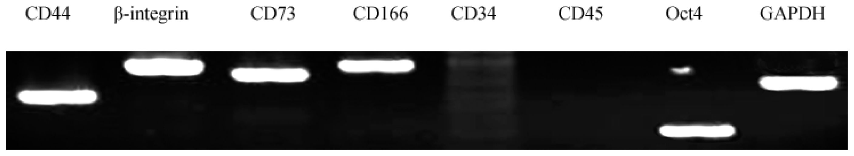 Ijms 15 03698f4
