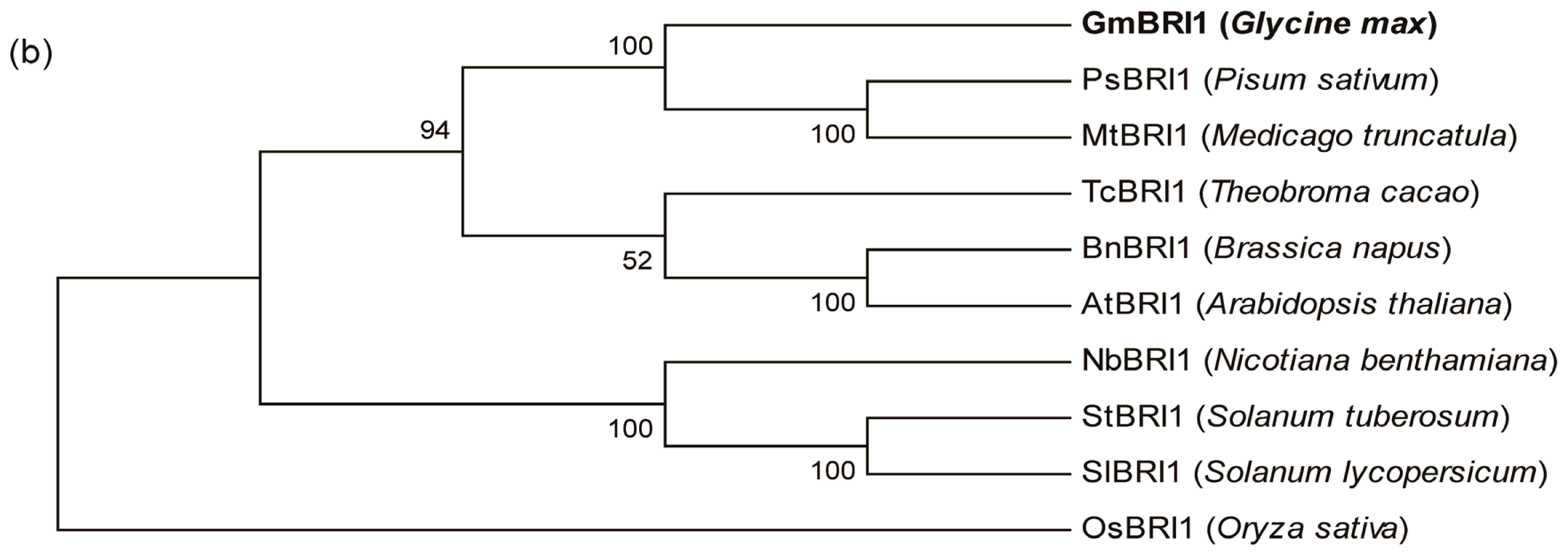 Ijms 15 03871f1b