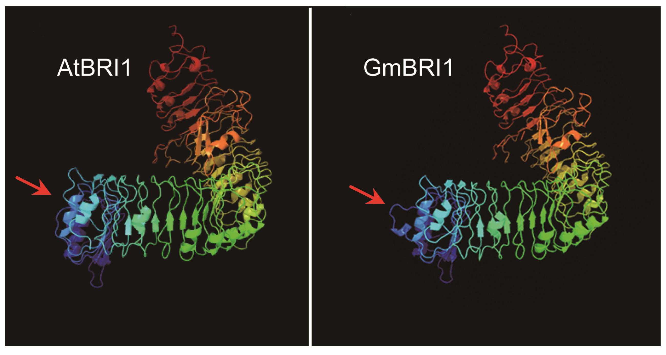 Ijms 15 03871f2