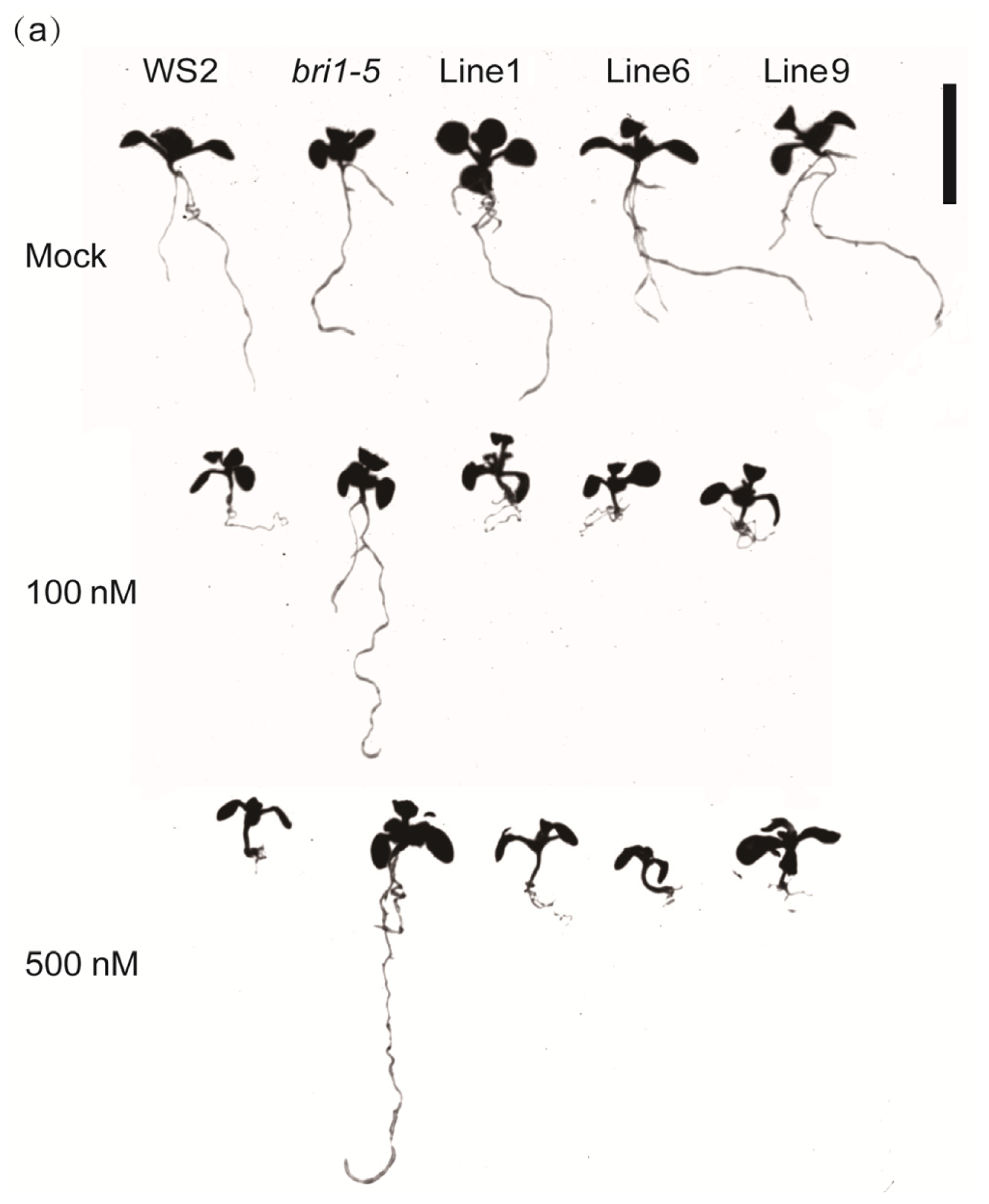Ijms 15 03871f4a