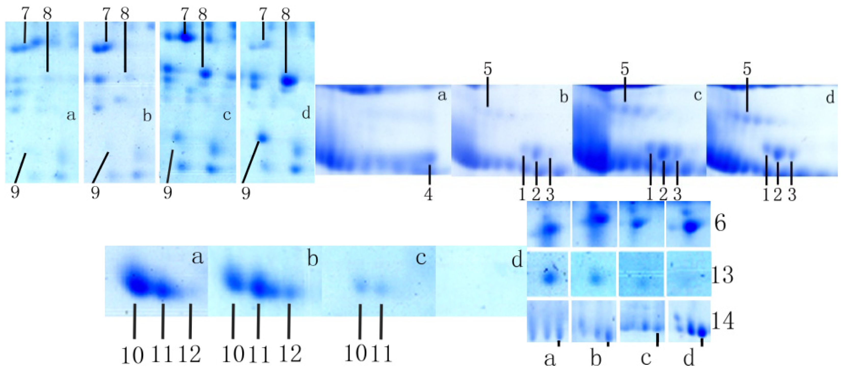 Ijms 15 04481f1