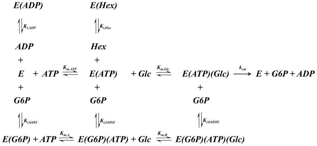 Ijms 15 04492f13 1024