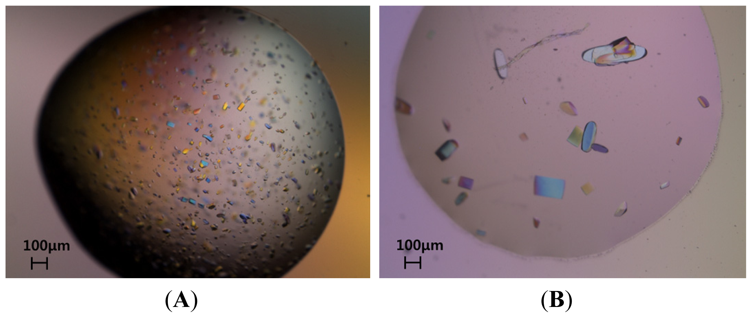 Ijms 15 04523f2