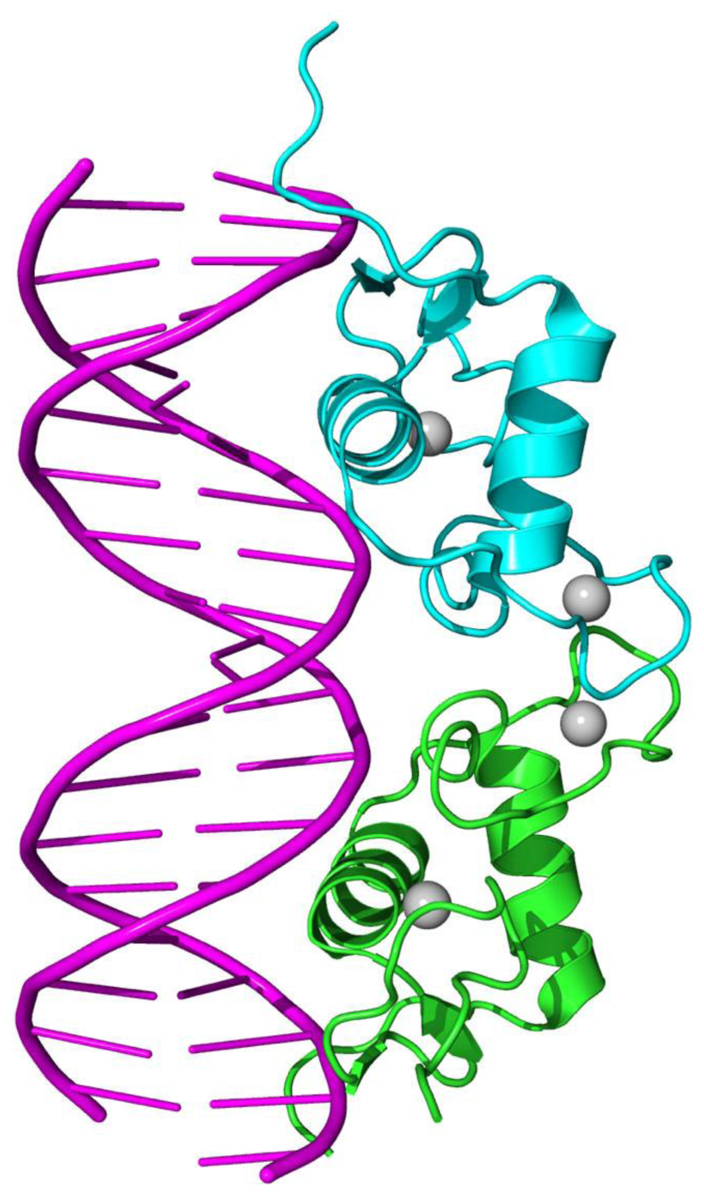 Ijms 15 04915f1